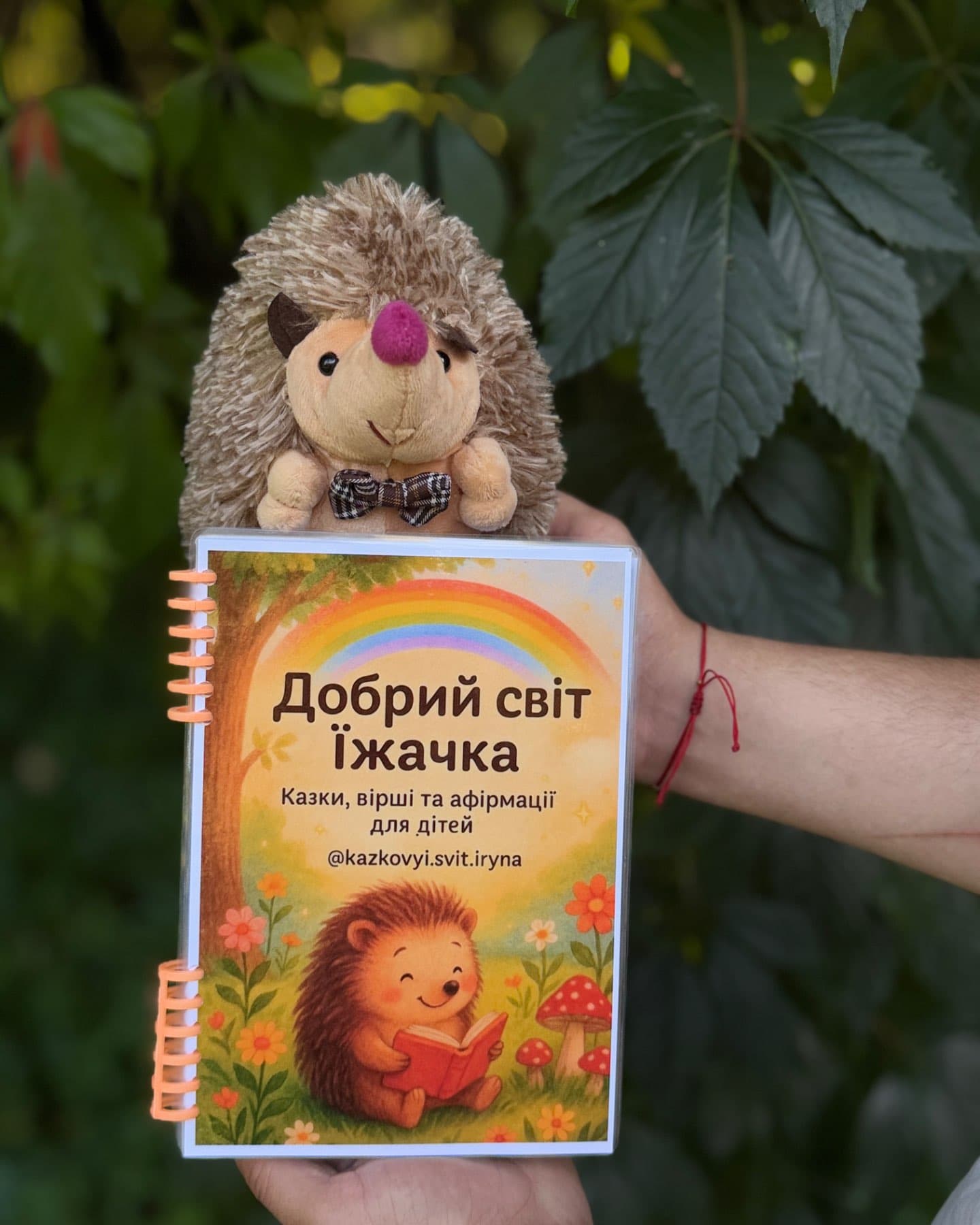 Добрий світ їжачка-Домкович Ірина