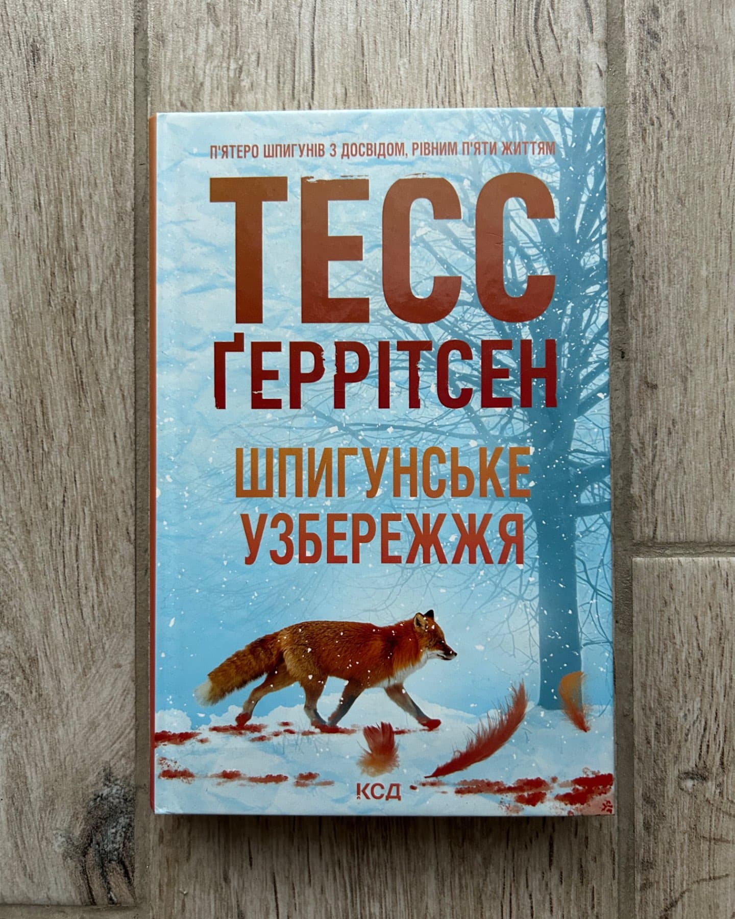Шпигунське узбережжя. Книга 1-Тесс Ґеррітсен