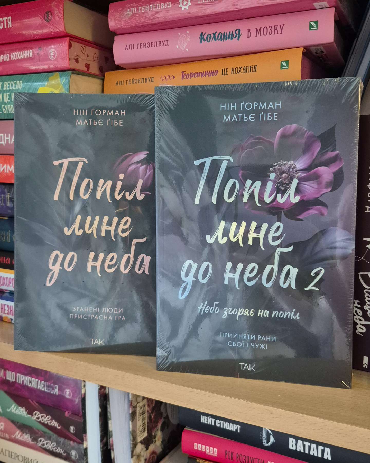 Попіл лине до неба. Том 1-Матьє Ґібе, Нін Ґорман