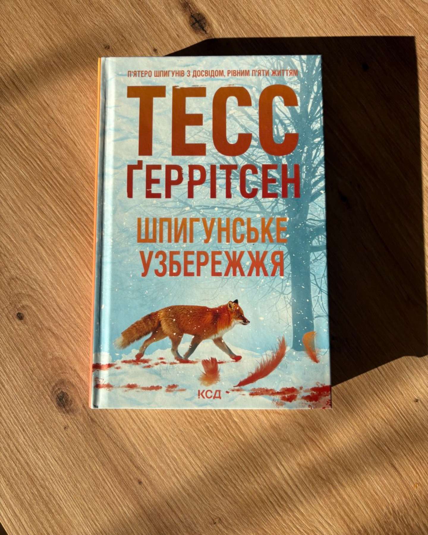 Шпигунське узбережжя. Книга 1-Тесс Ґеррітсен