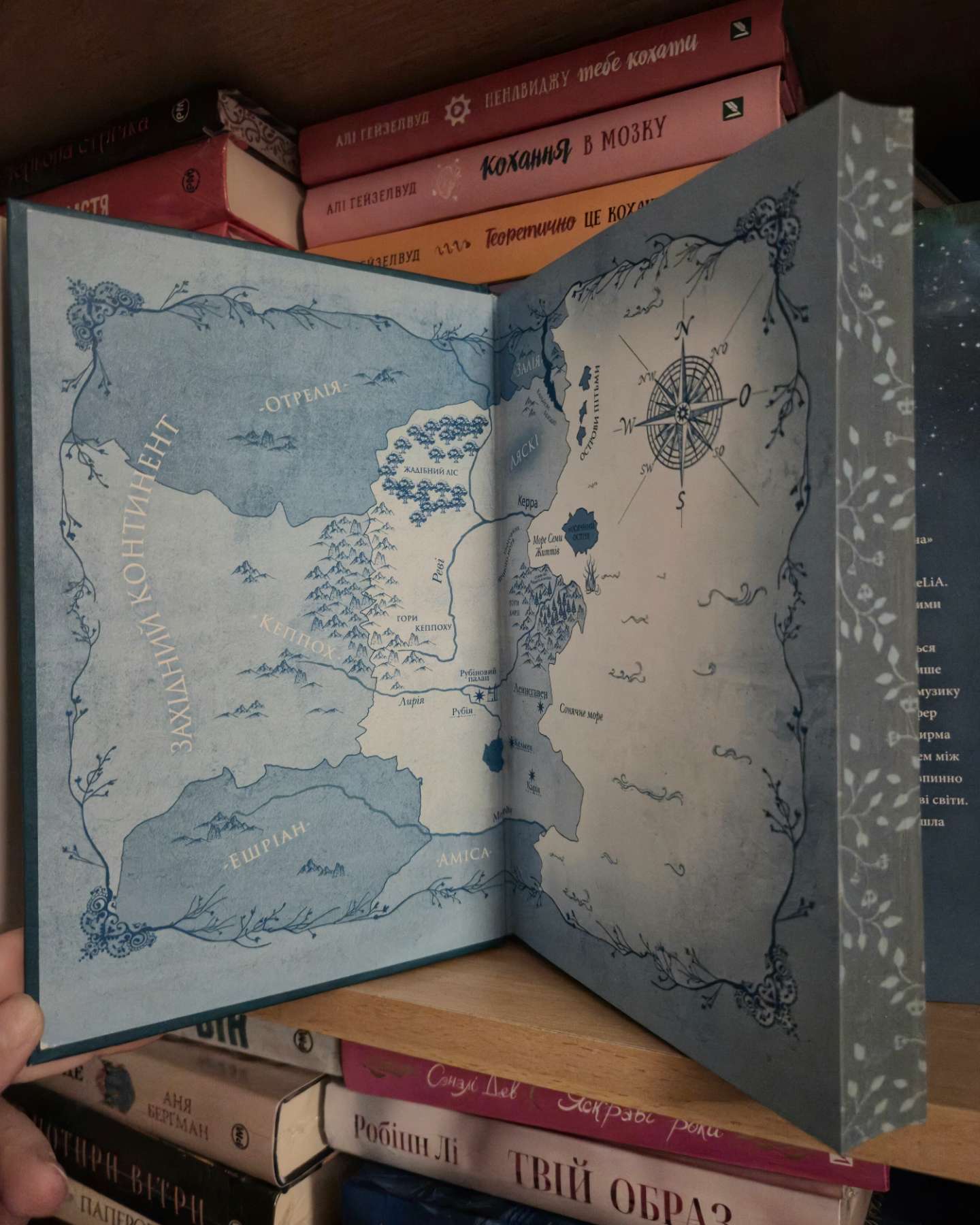 Коронована зорями. Одна істинна королева. Книга 1-Дженніфер Бенкау