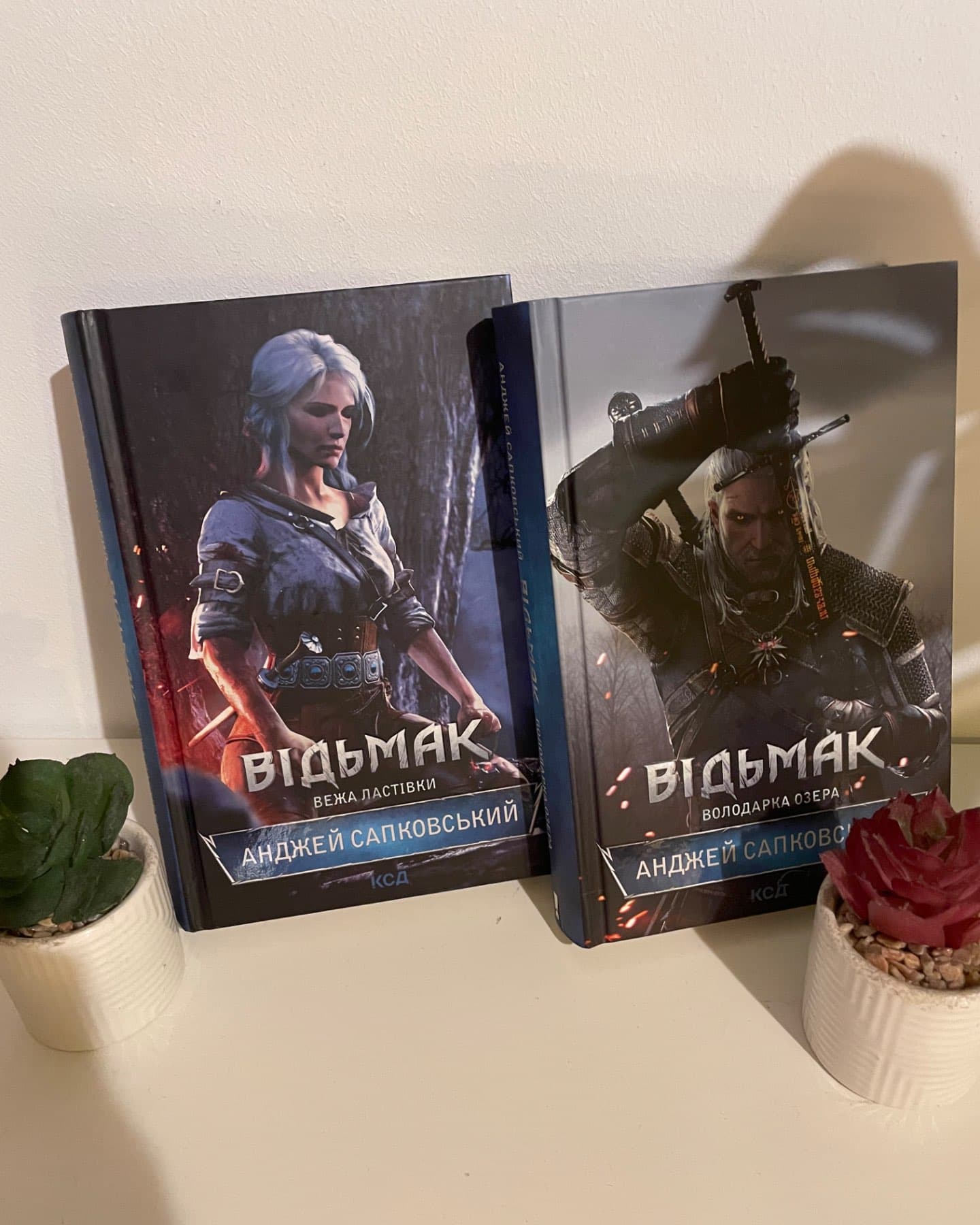 Відьмак. Вежа Ластівки. Книга 6, Відьмак. Володарка Озера. Книга 7-Анджей Сапковський