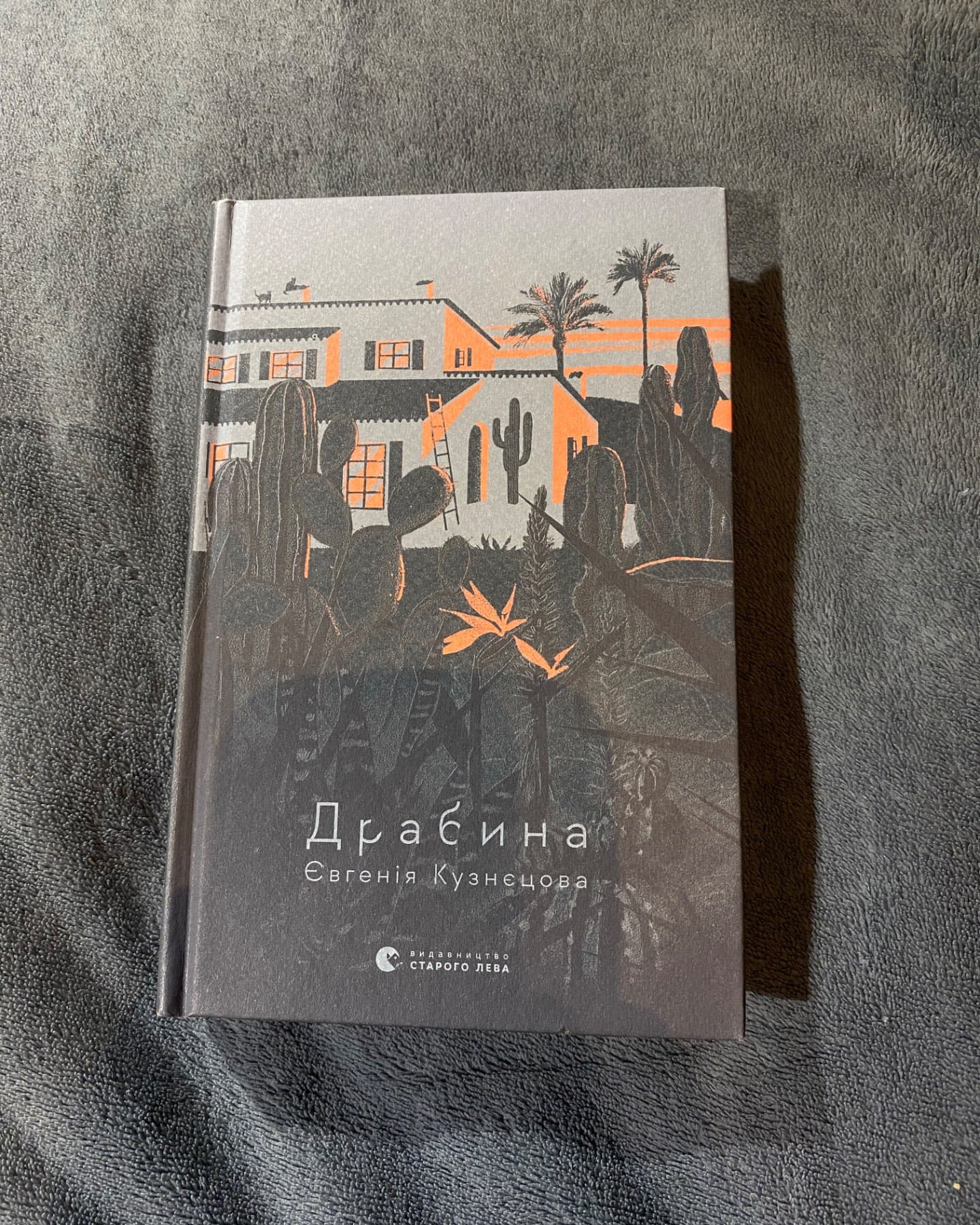 Драбина-Євгенія Кузнєцова