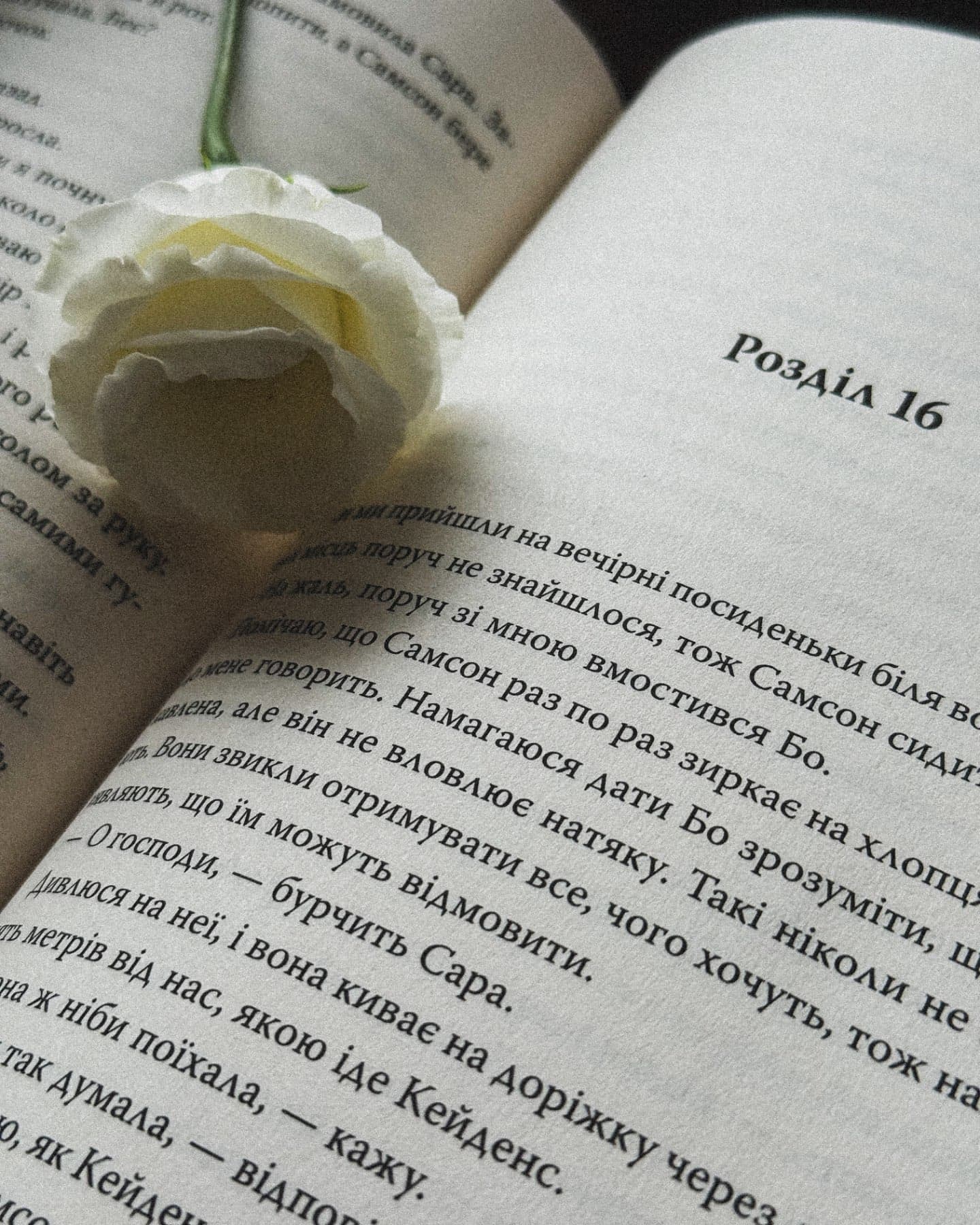 Кістки серця-Коллін Гувер