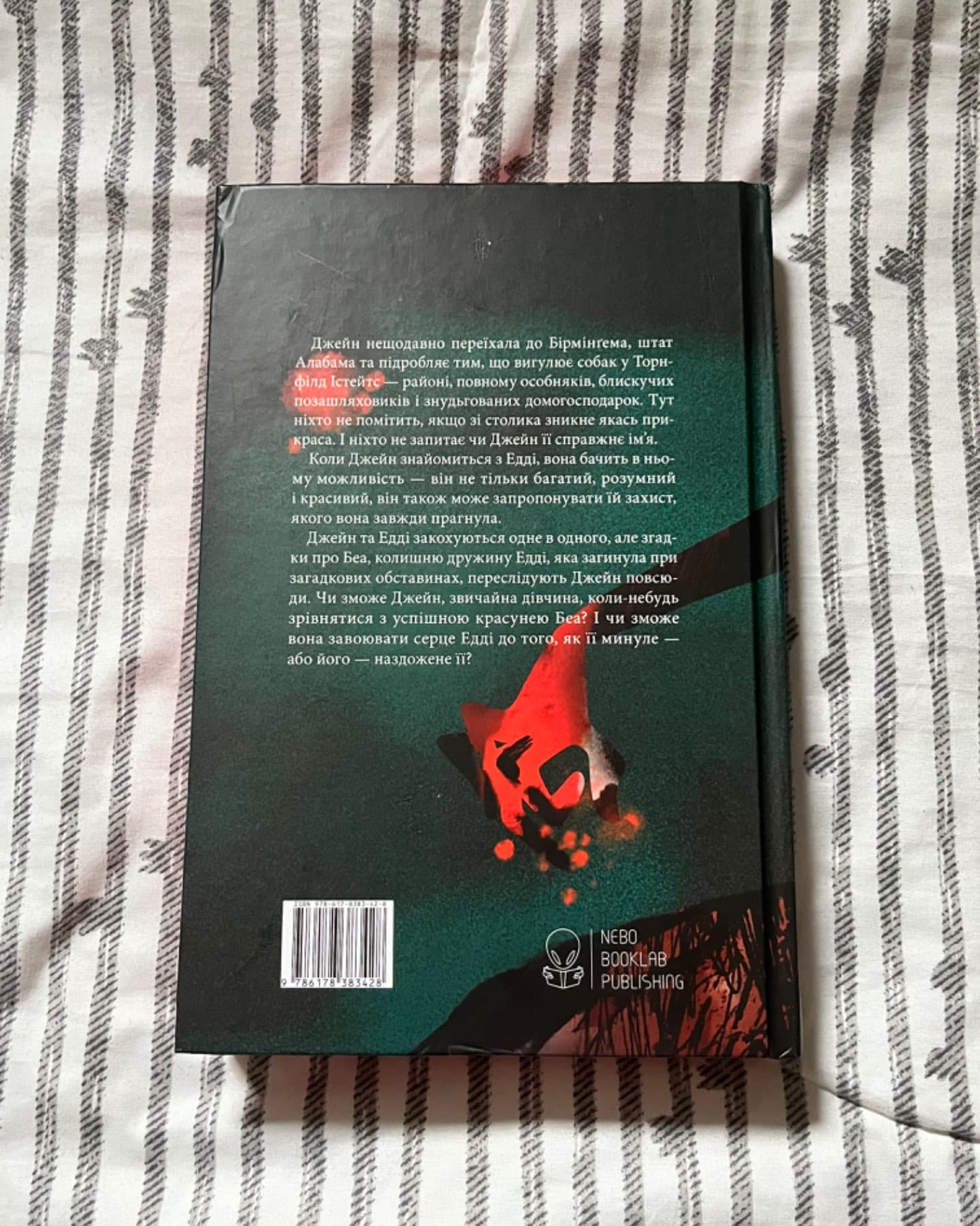 Дружина з горішнього поверху-Рейчел Гокінс