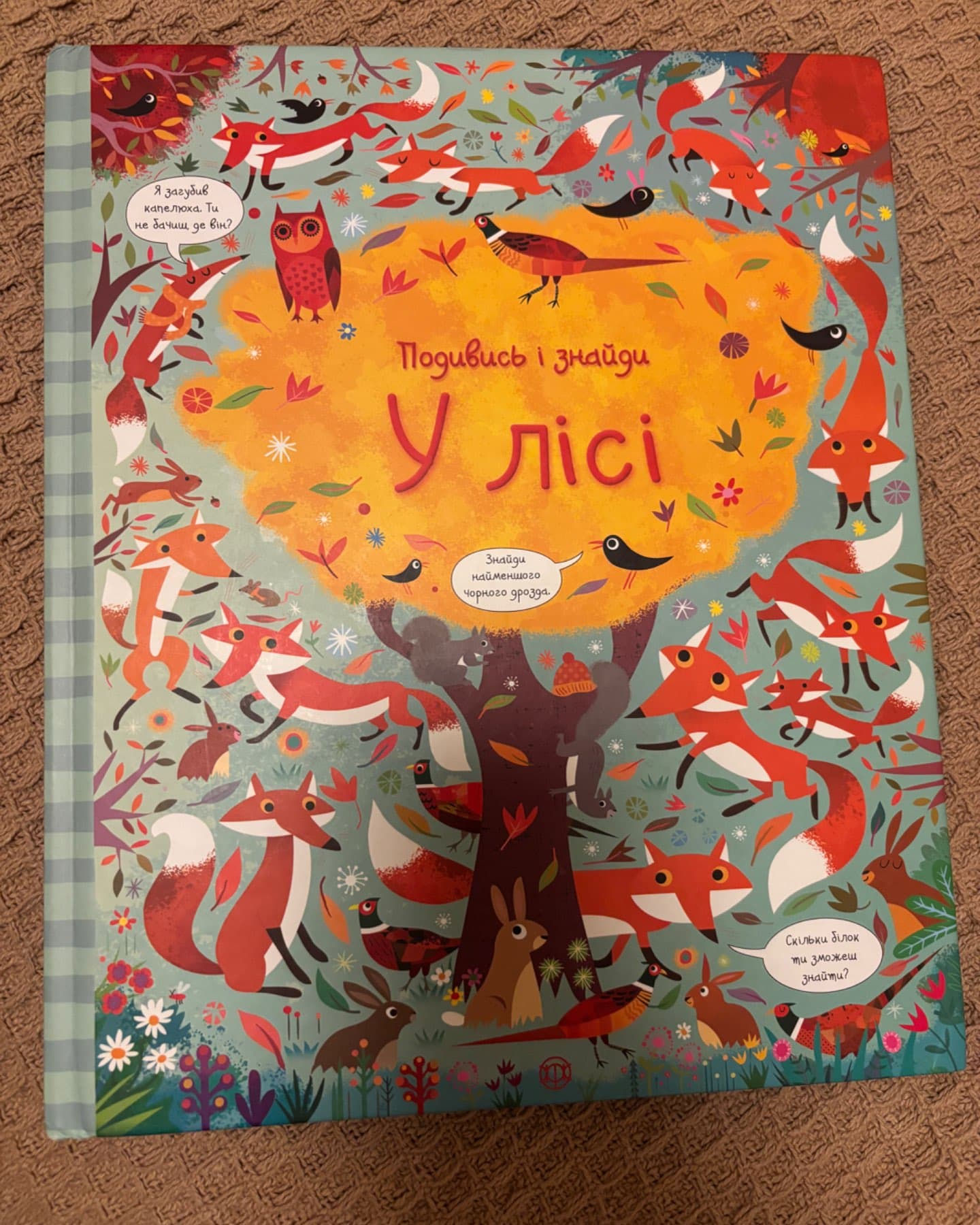 Подивись і знайди. У лісі-Кірстін Робсон