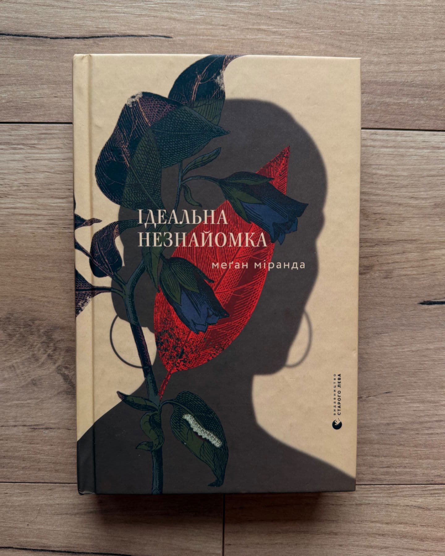 Ідеальна незнайомка-Меган Міранда
