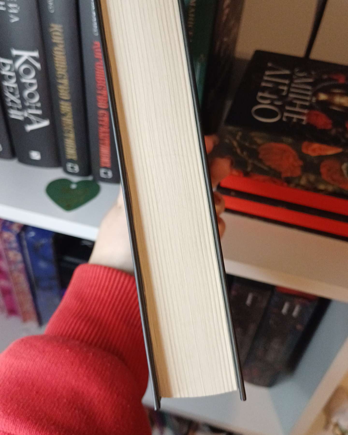 Буря і лють. Книга 1-Дженніфер Л. Арментраут