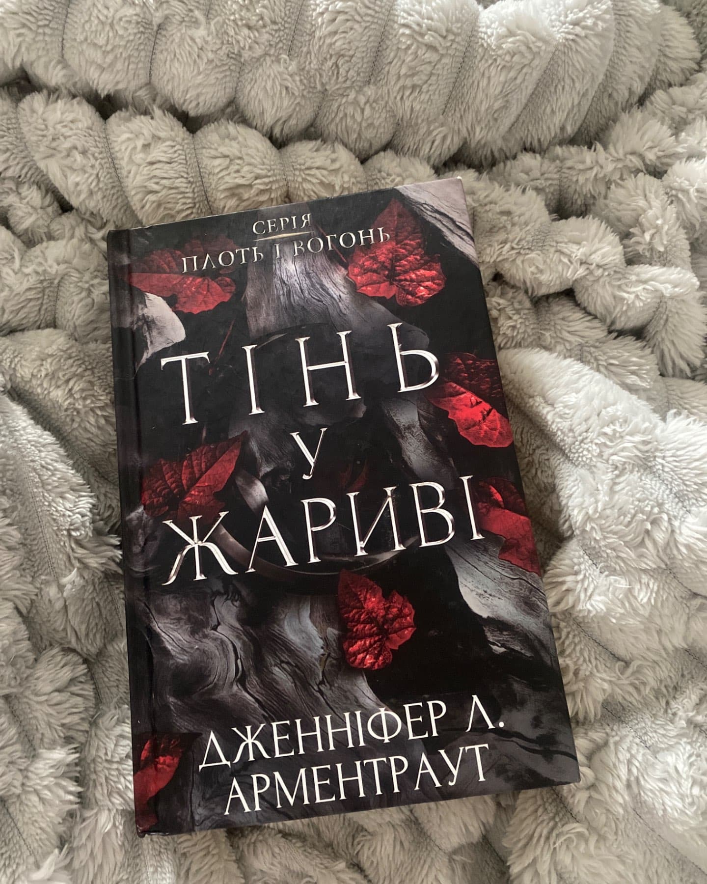 Тінь у жариві. Плоть і вогонь. Книга 1-Дженніфер Л. Арментраут