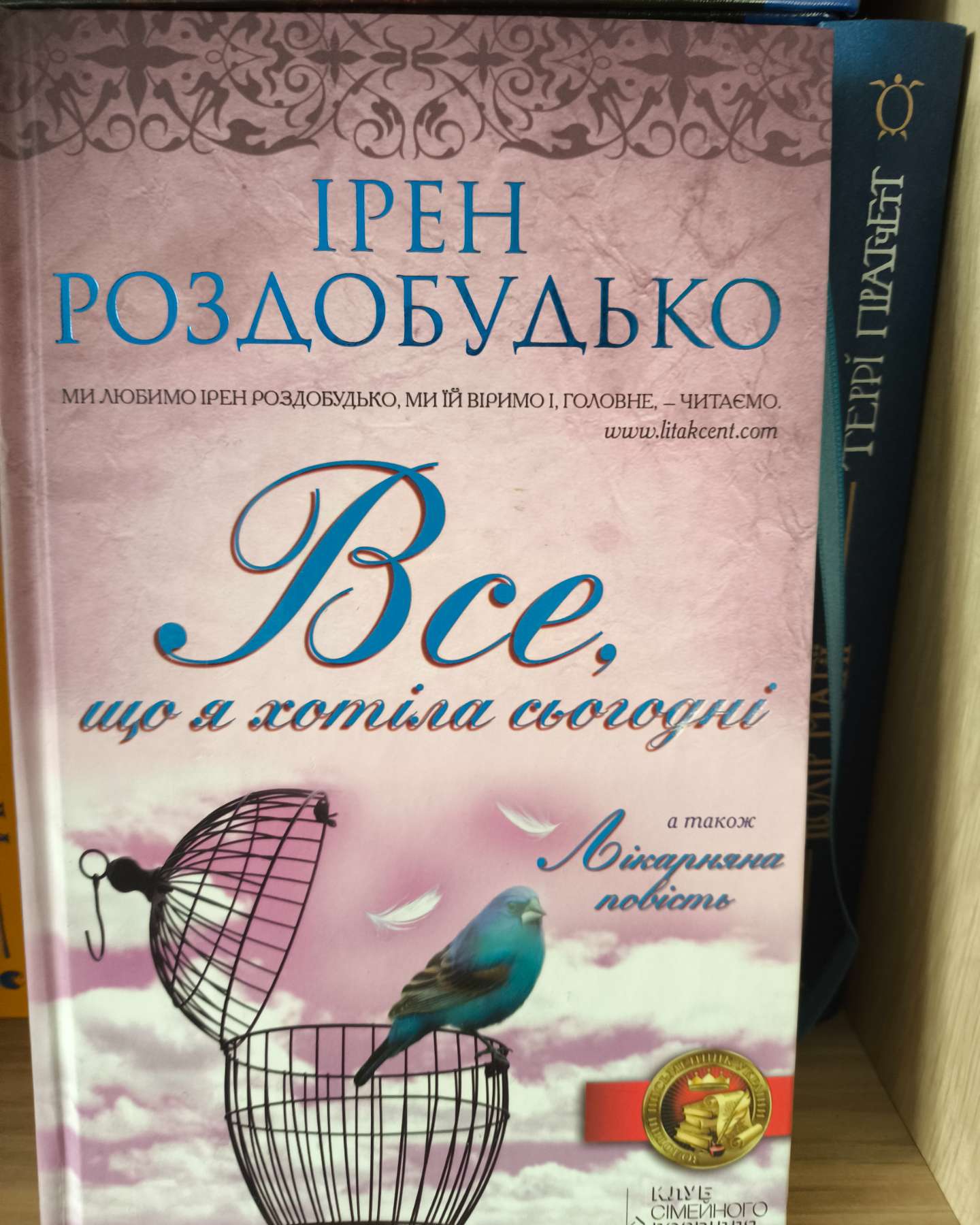 Все, що я хотіла сьогодні-Ірен Роздобудько