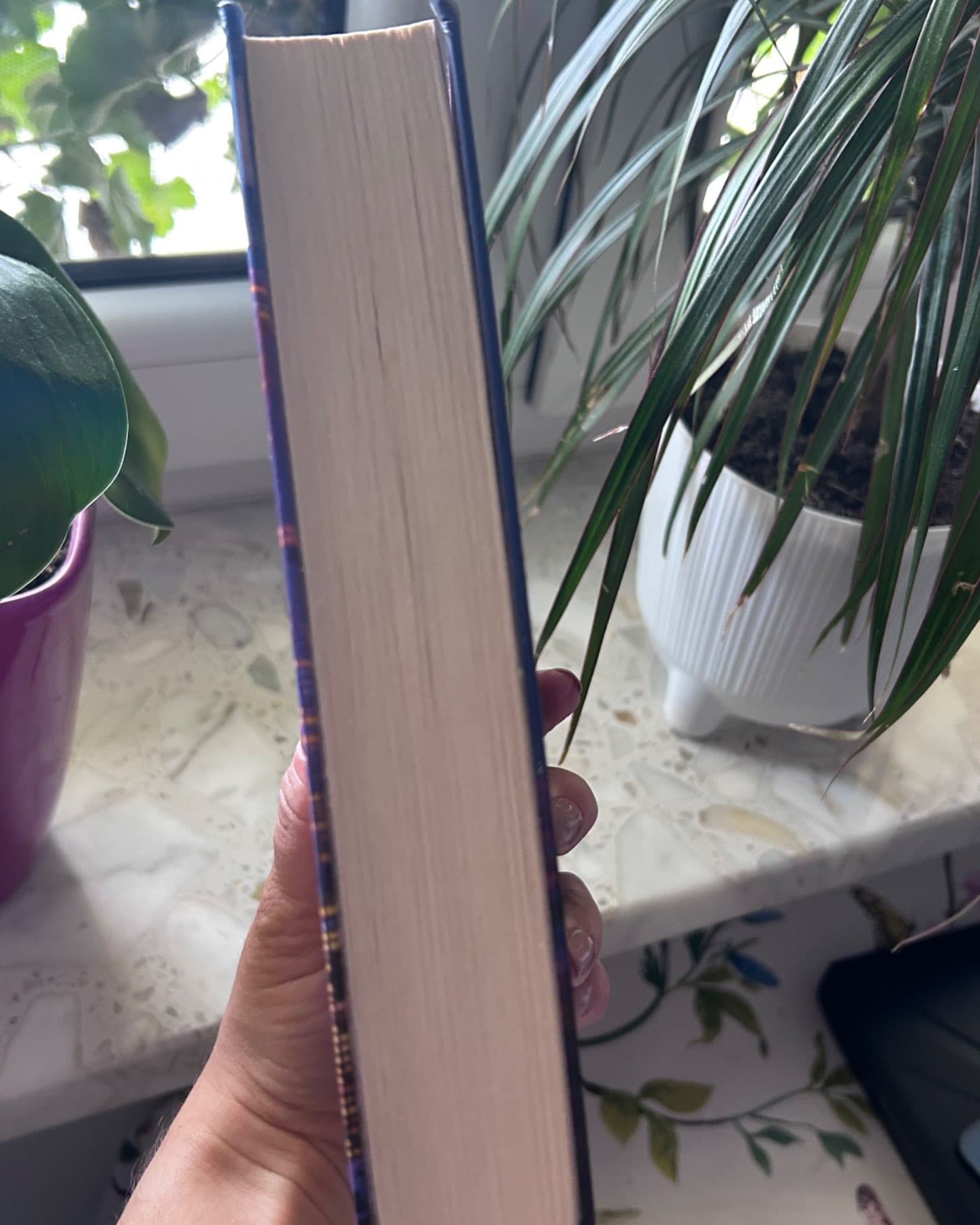 Правильне рішення. Місто вітрів. Книга 2-Ліз Томфорд