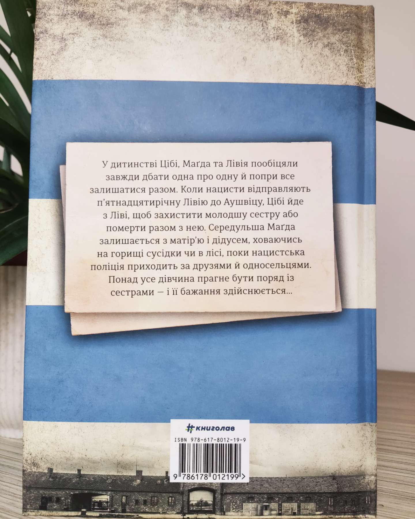Обіцянка сестер-Гізер Морріс