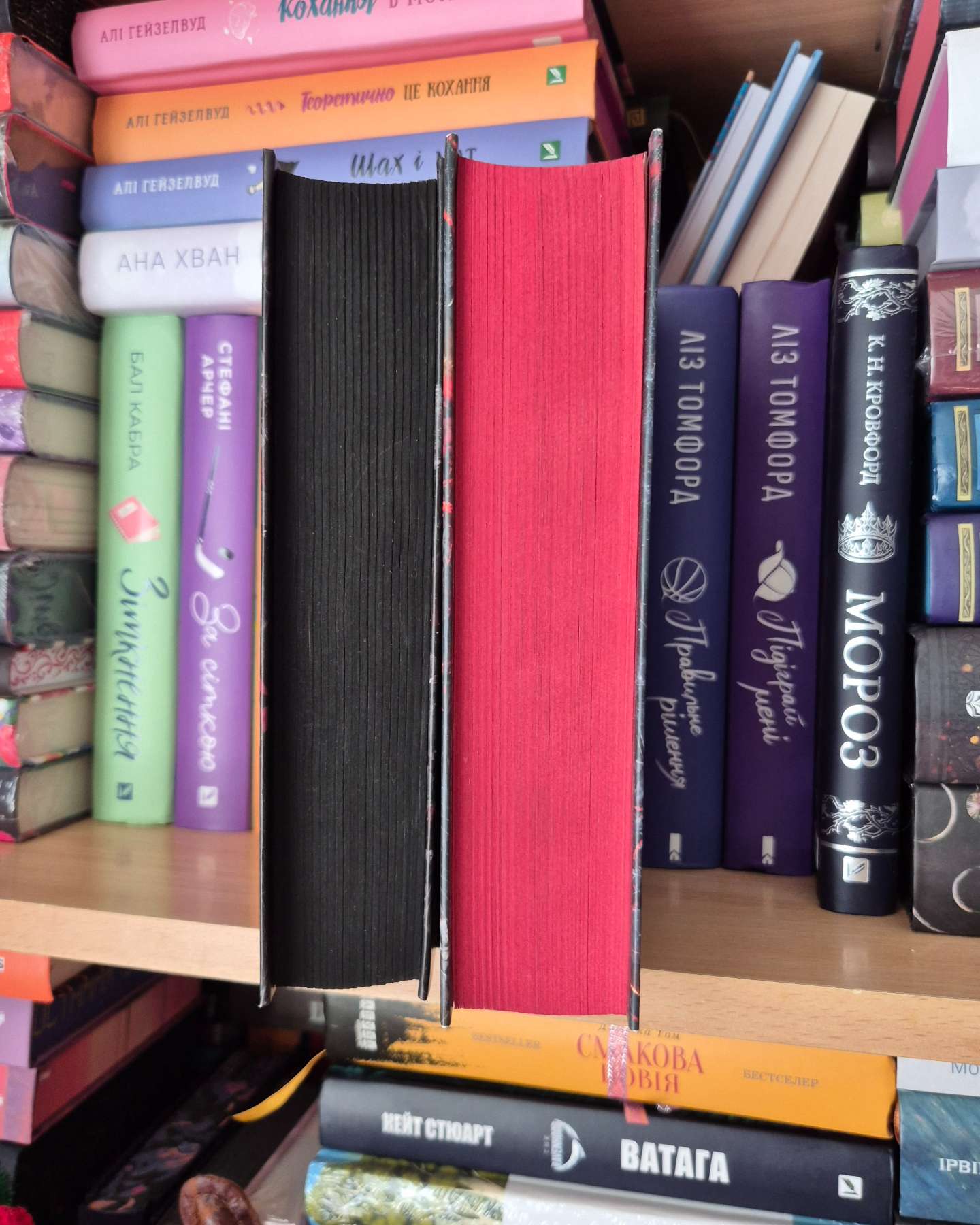 Переслідування Аделіни. Гра в кота і мишу. Книга 1-Г. Д. Карлтон
