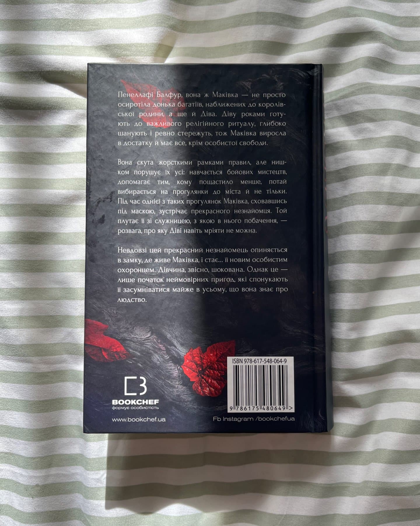 Кров і попіл. Книга 1. Із крові й попелу-Дженніфер Л. Арментраут