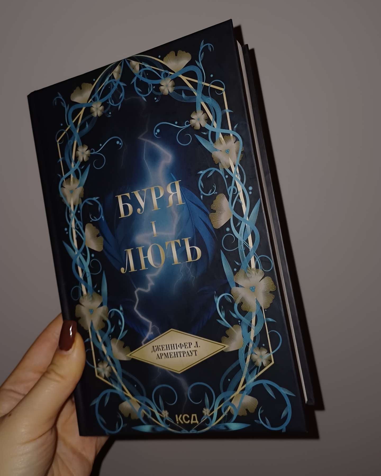 Буря і лють. Книга 1-Дженніфер Л. Арментраут