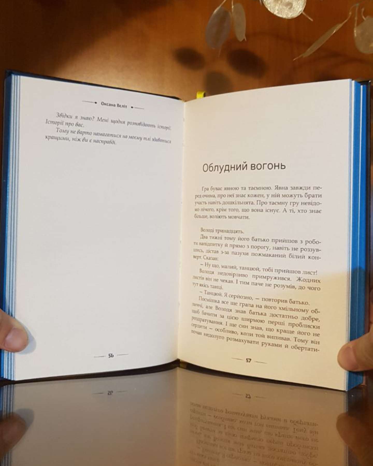 Дитяча книга 18+-Оксана Вєліт