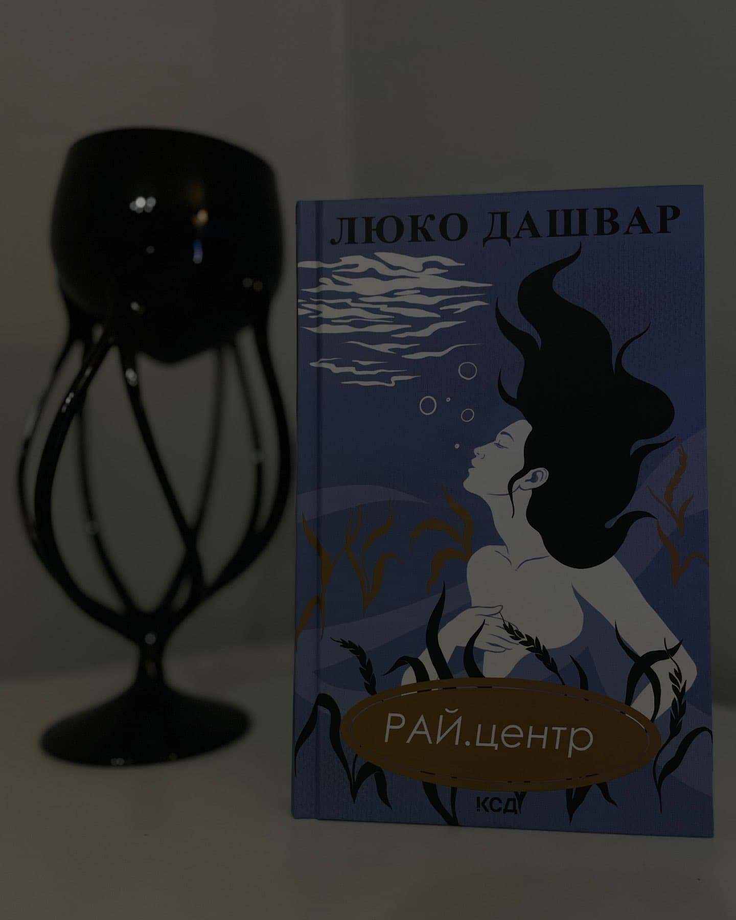 РАЙ.центр-Люко Дашвар