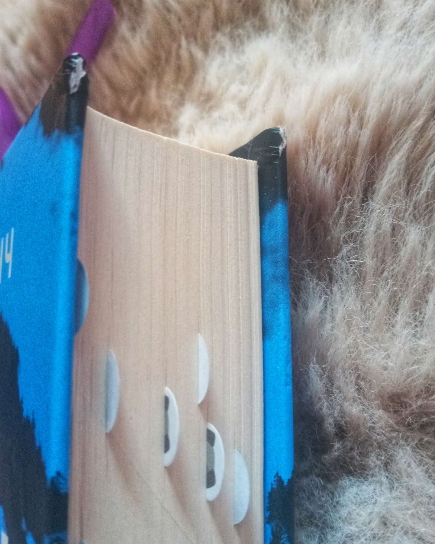 "Шукач"-Тана Френч