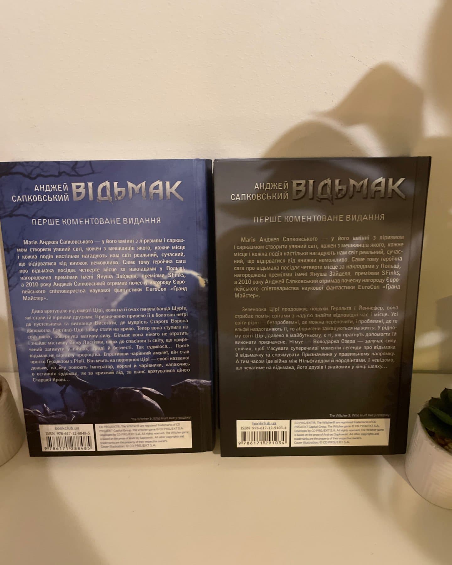 Відьмак. Вежа Ластівки. Книга 6, Відьмак. Володарка Озера. Книга 7-Анджей Сапковський
