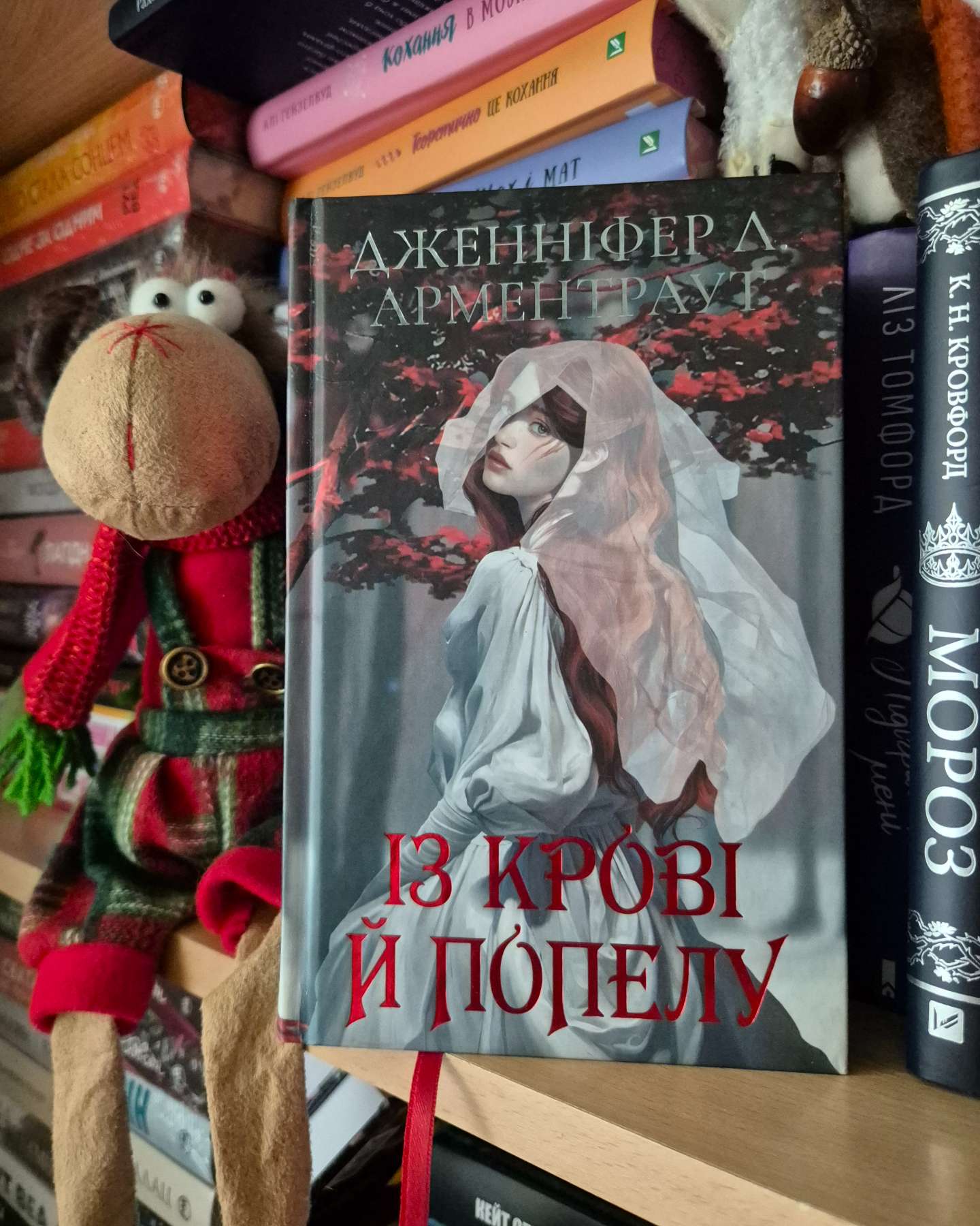 Із крові й попелу. Подарункове видання-Дженніфер Л. Арментраут