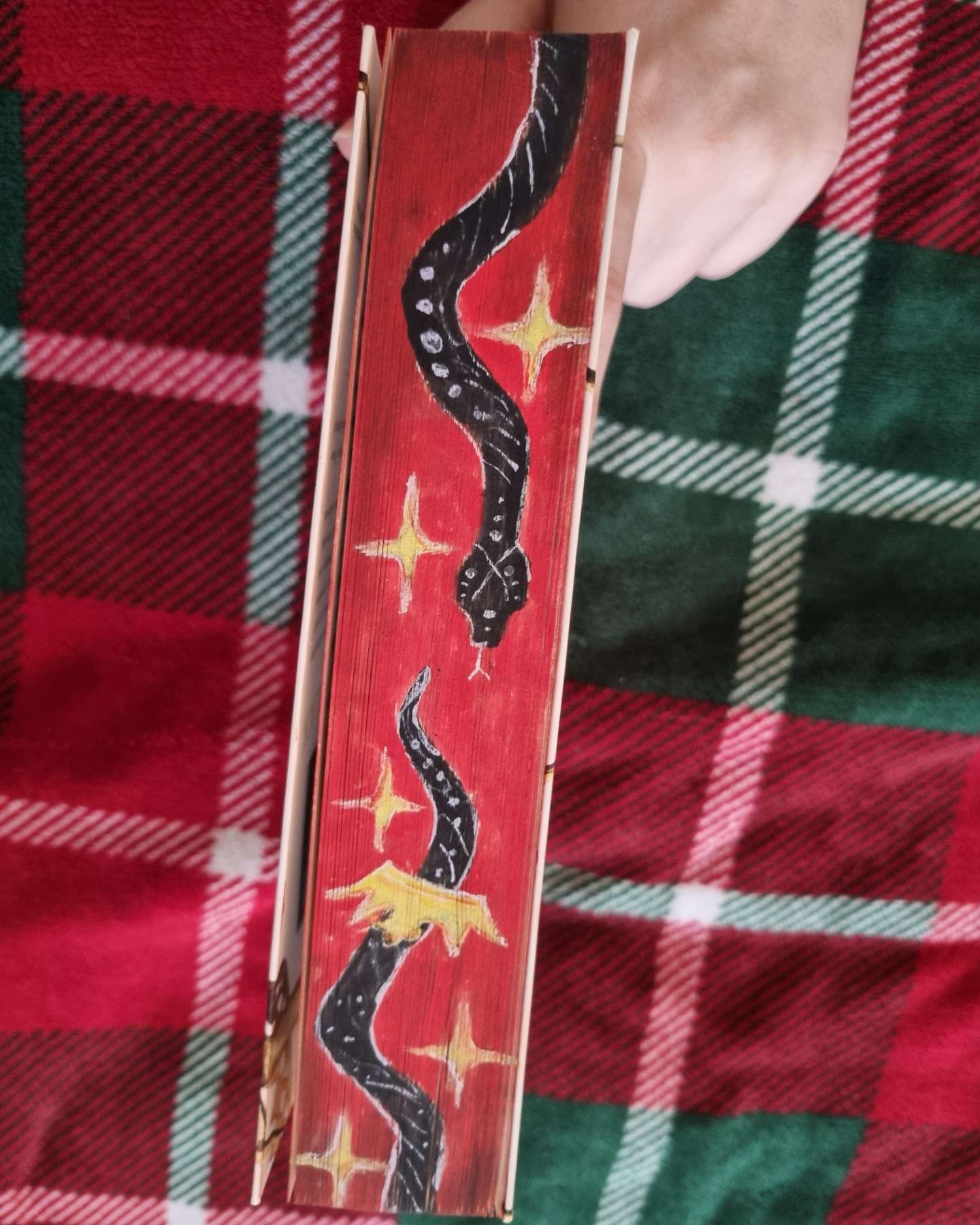 Серія Жорстокий принц-Холлі Блек