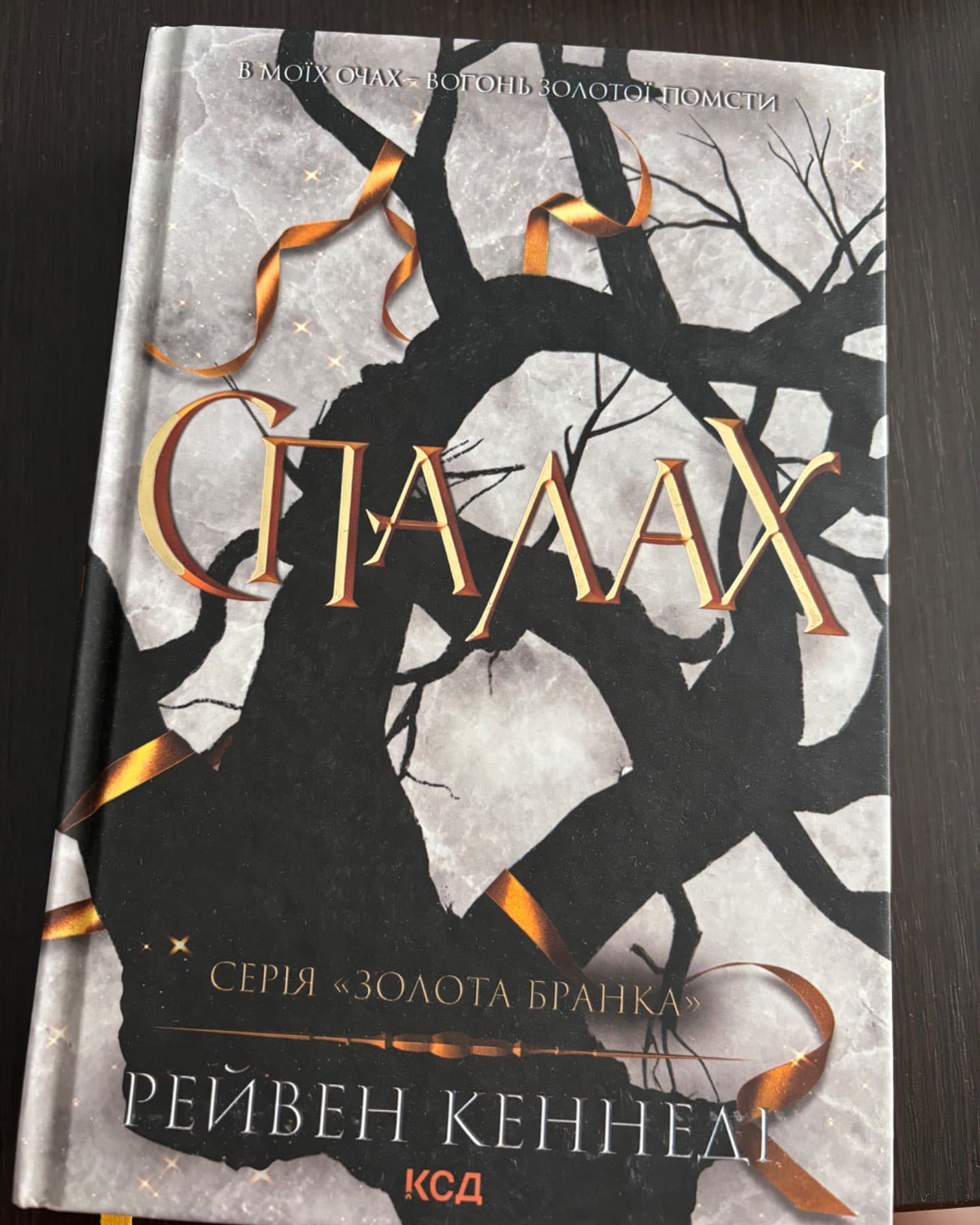 Спалах. Книга 3-Рейвен Кеннеді