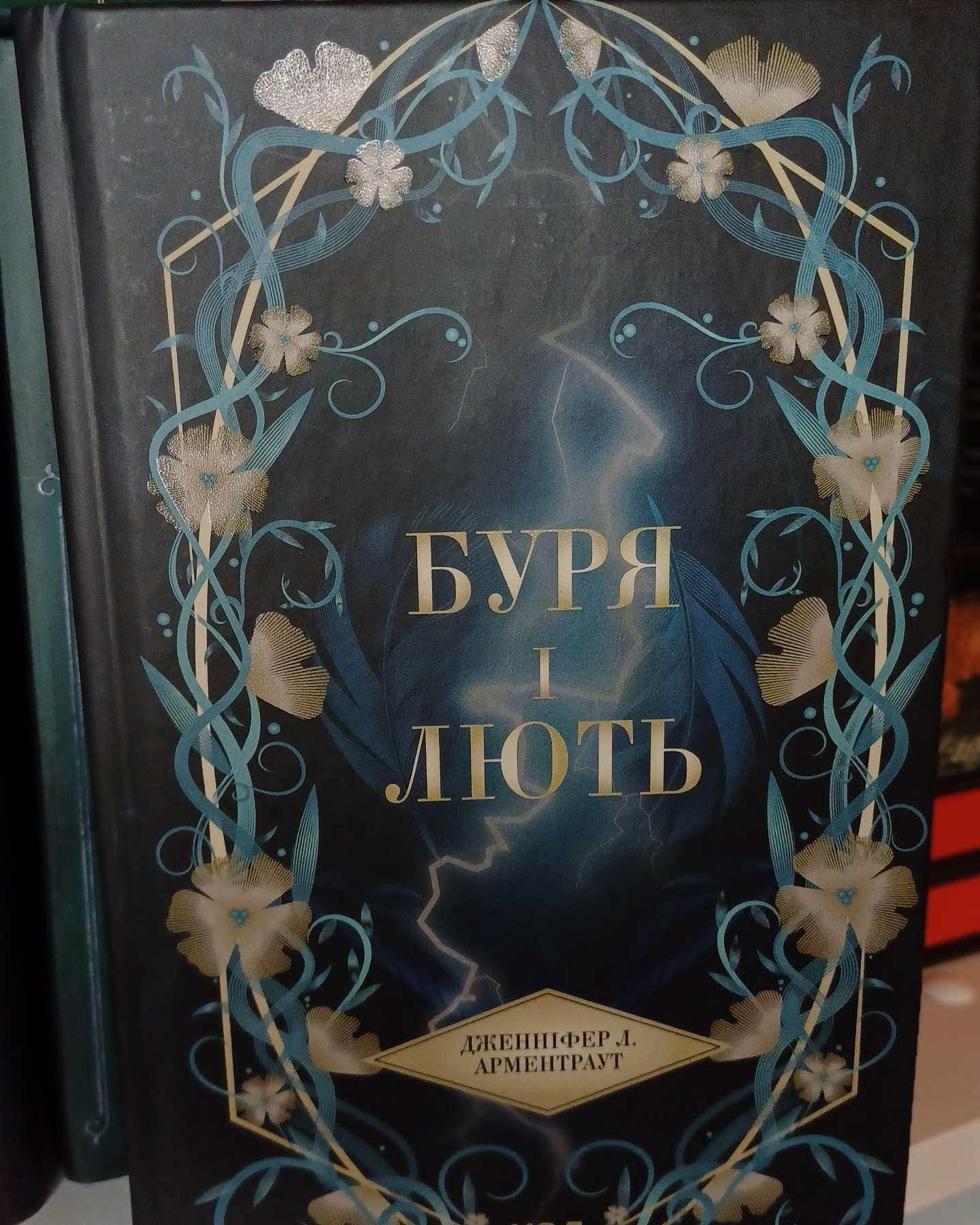 Буря і лють. Книга 1-Дженніфер Л. Арментраут