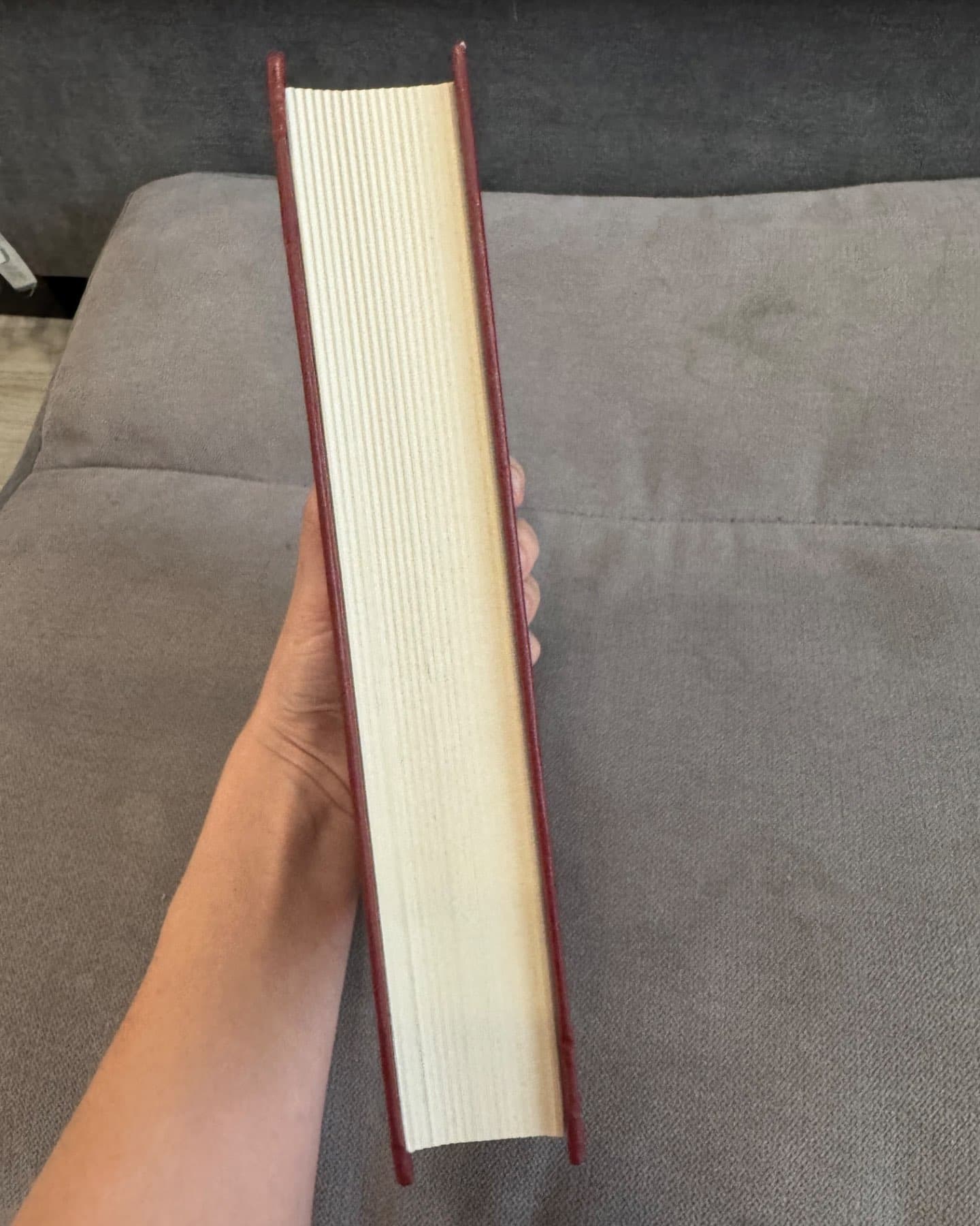 Дев’ятий Дім, Біснуватий-Лі Бардуго