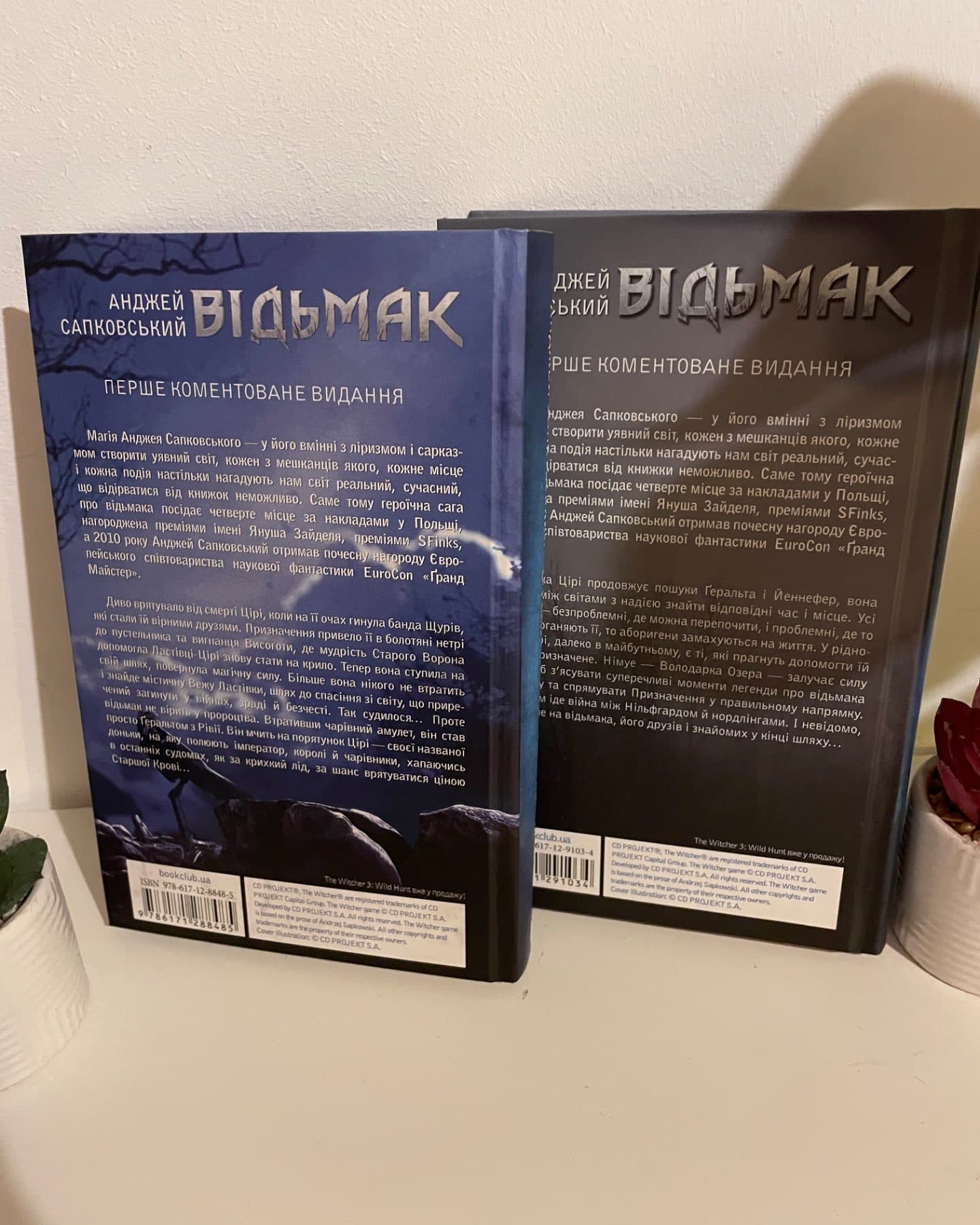 Відьмак. Вежа Ластівки. Книга 6, Відьмак. Володарка Озера. Книга 7-Анджей Сапковський