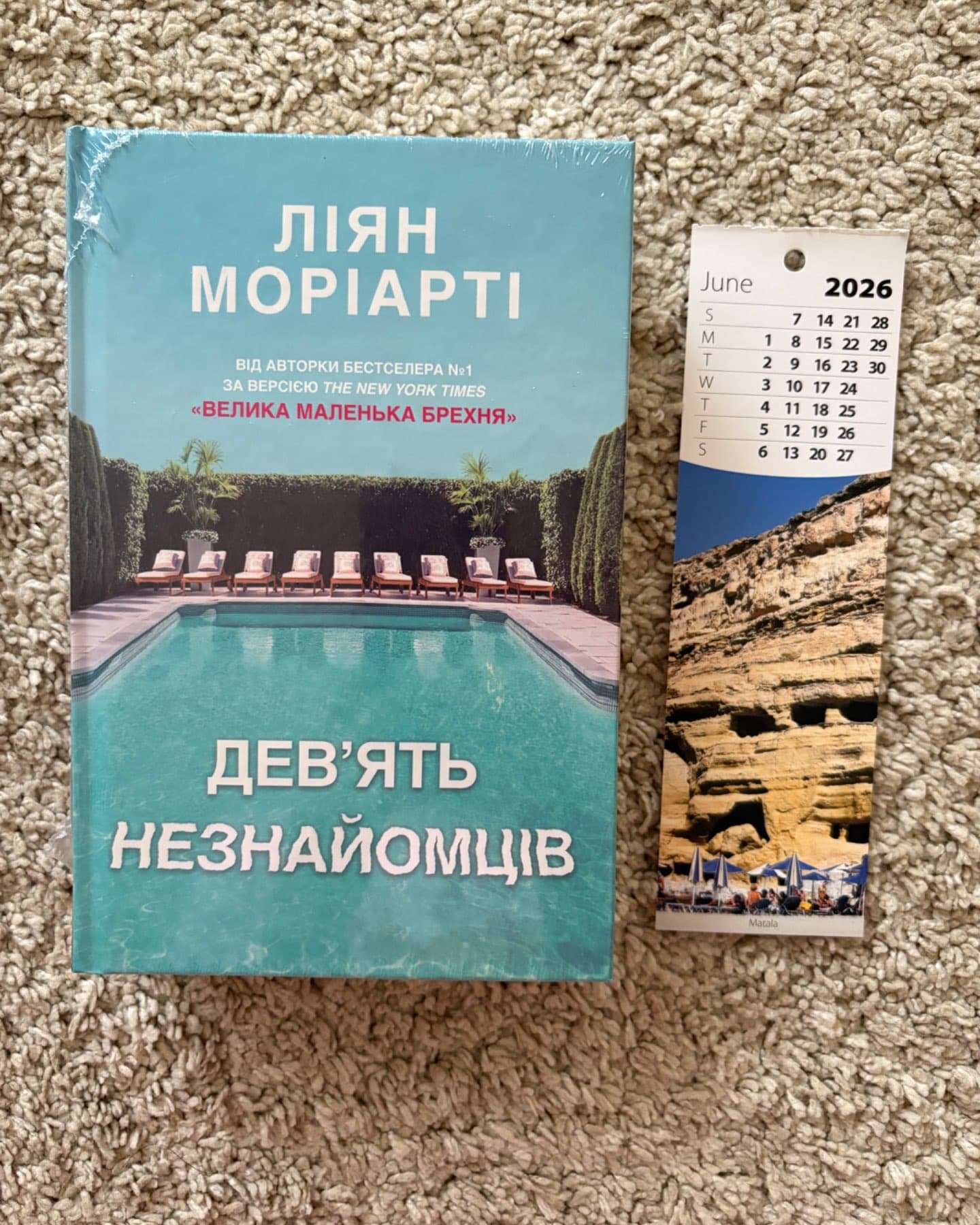 Дев'ять незнайомців-Ліян Моріарті