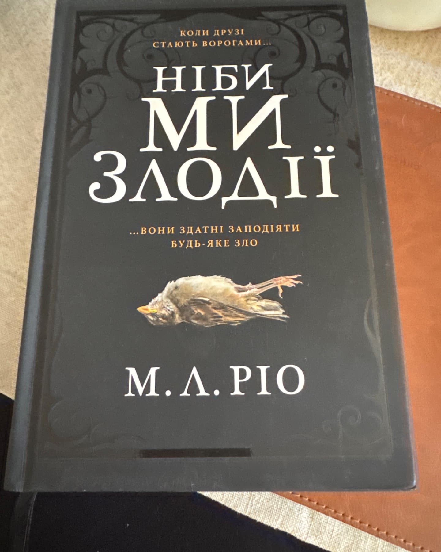 Ніби ми злодії-М. Л. Ріо
