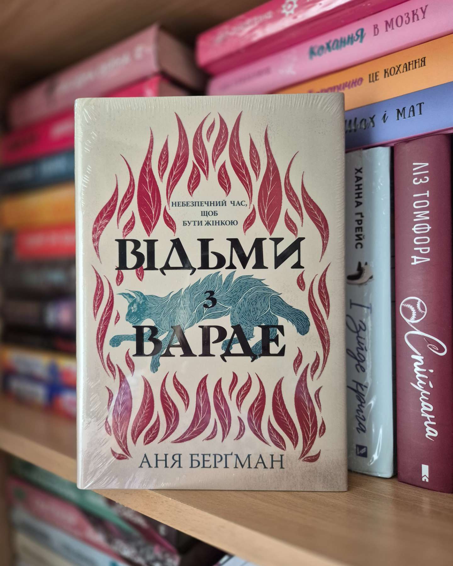 Відьми з Варде-Аня Бергман