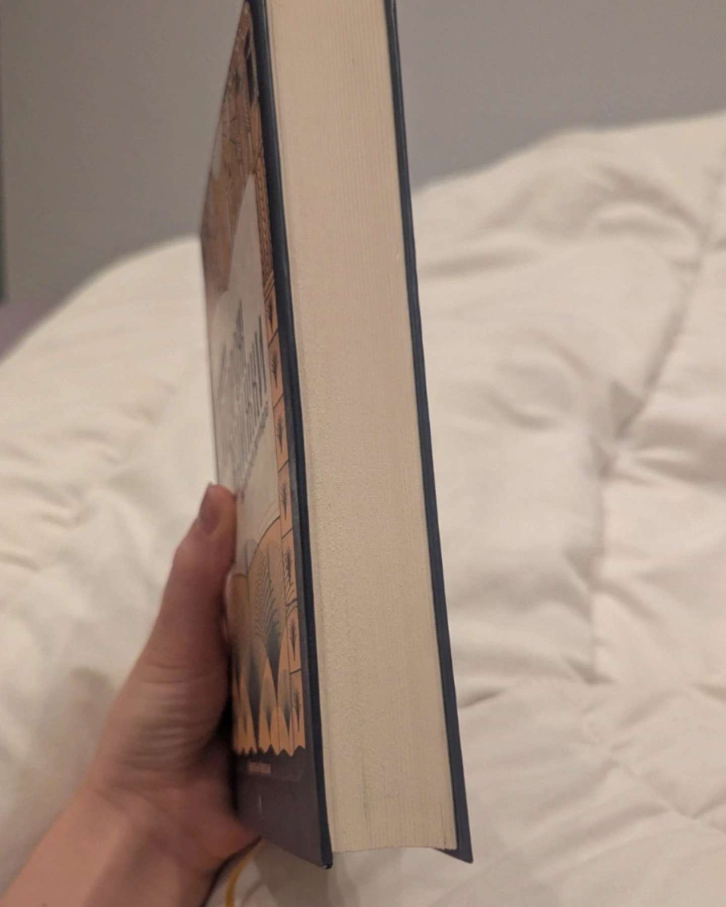 Подорож книжки. Від папірусу до кіндл-Ірене Вальєхо