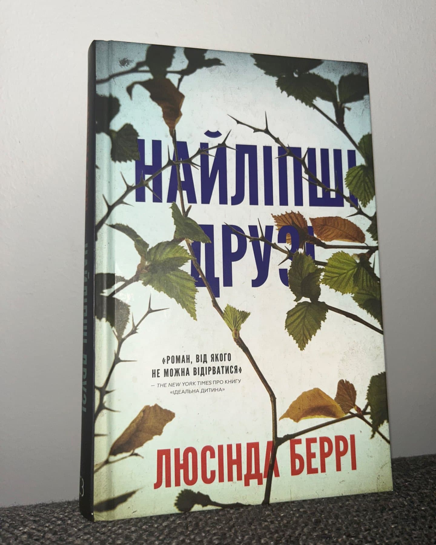 Найліпші друзі-Люсінда Беррі