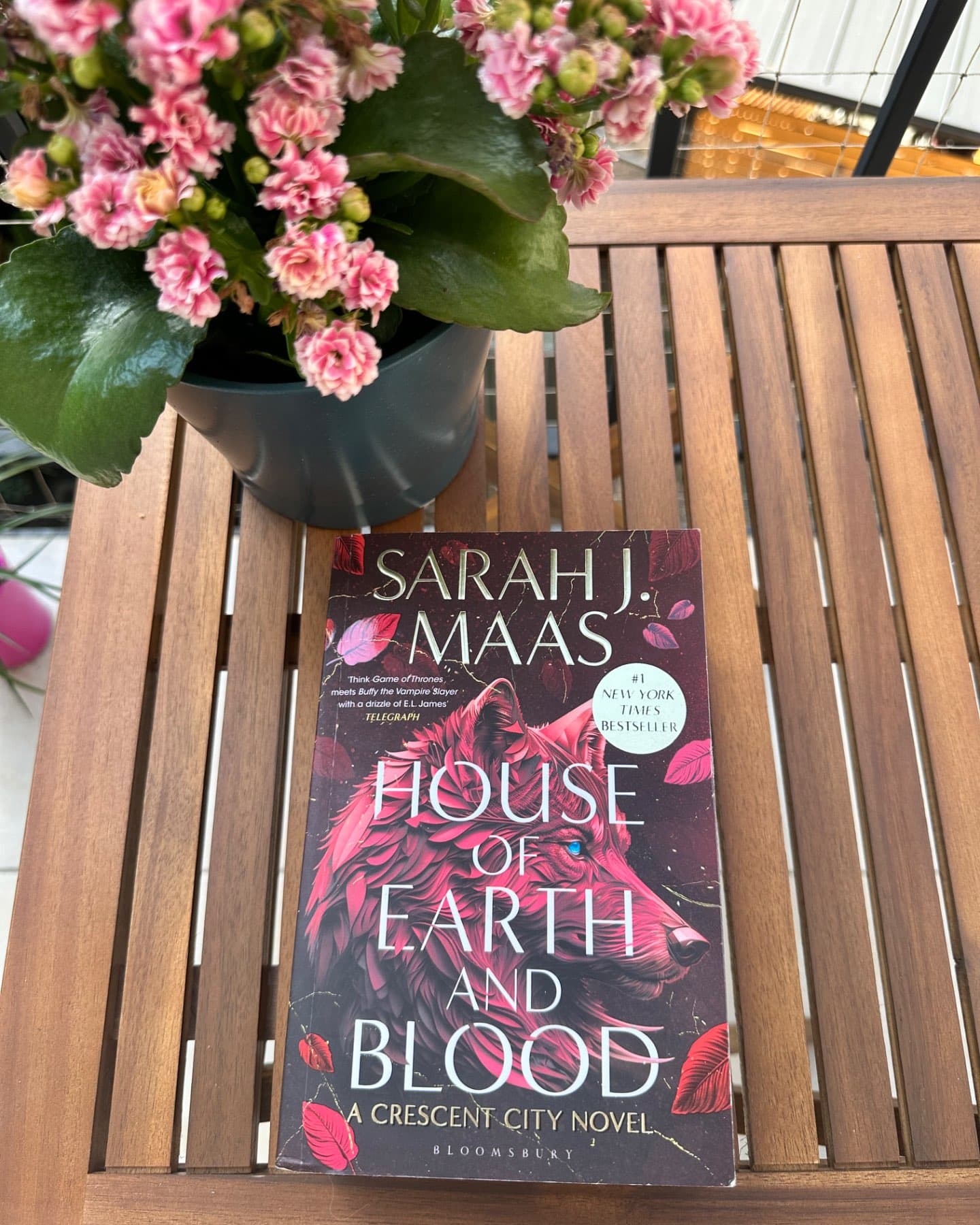 A Crescent City novel-Sarah J. Maas
