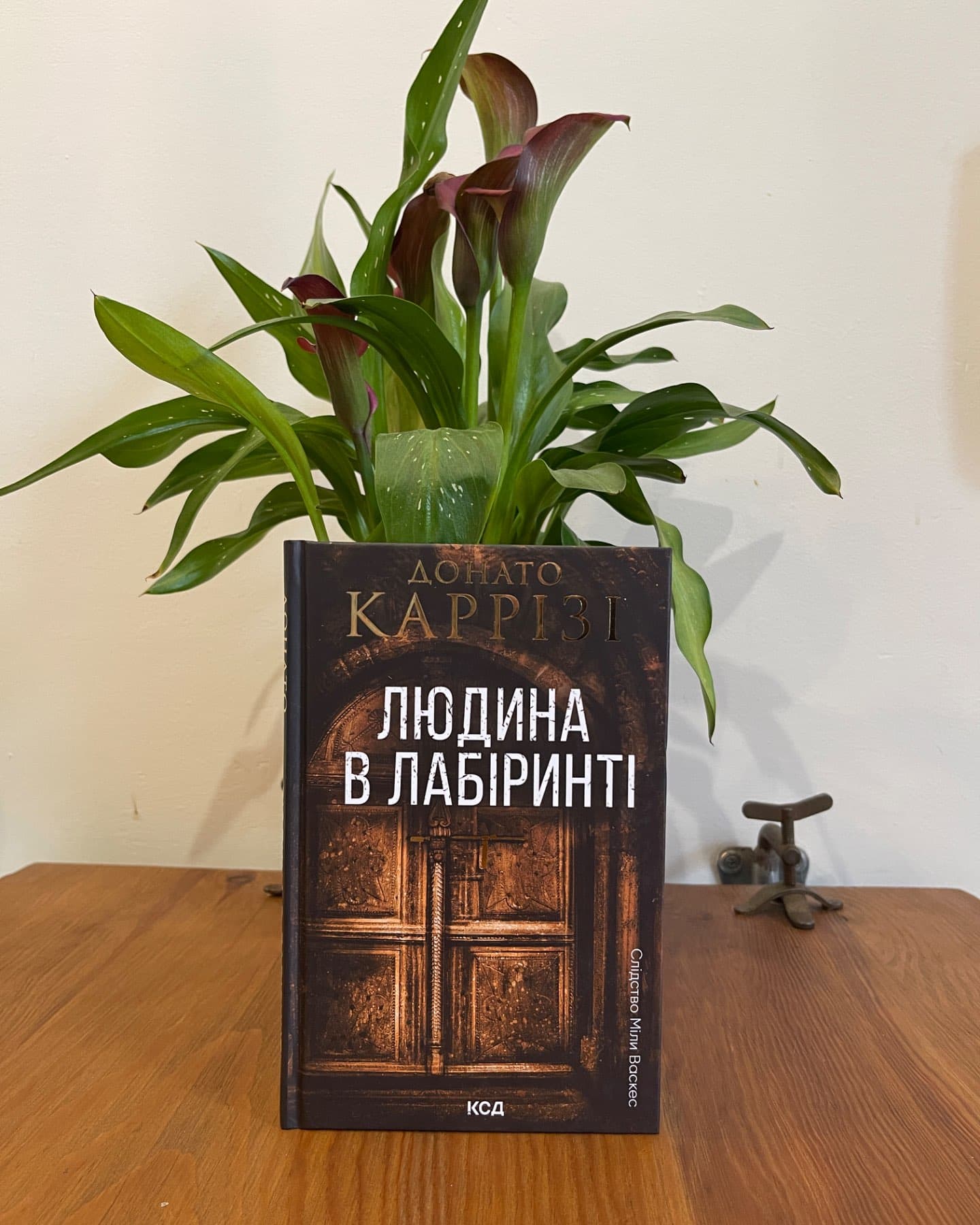 Людина в лабіринті. Книга 3-Донато Каррізі