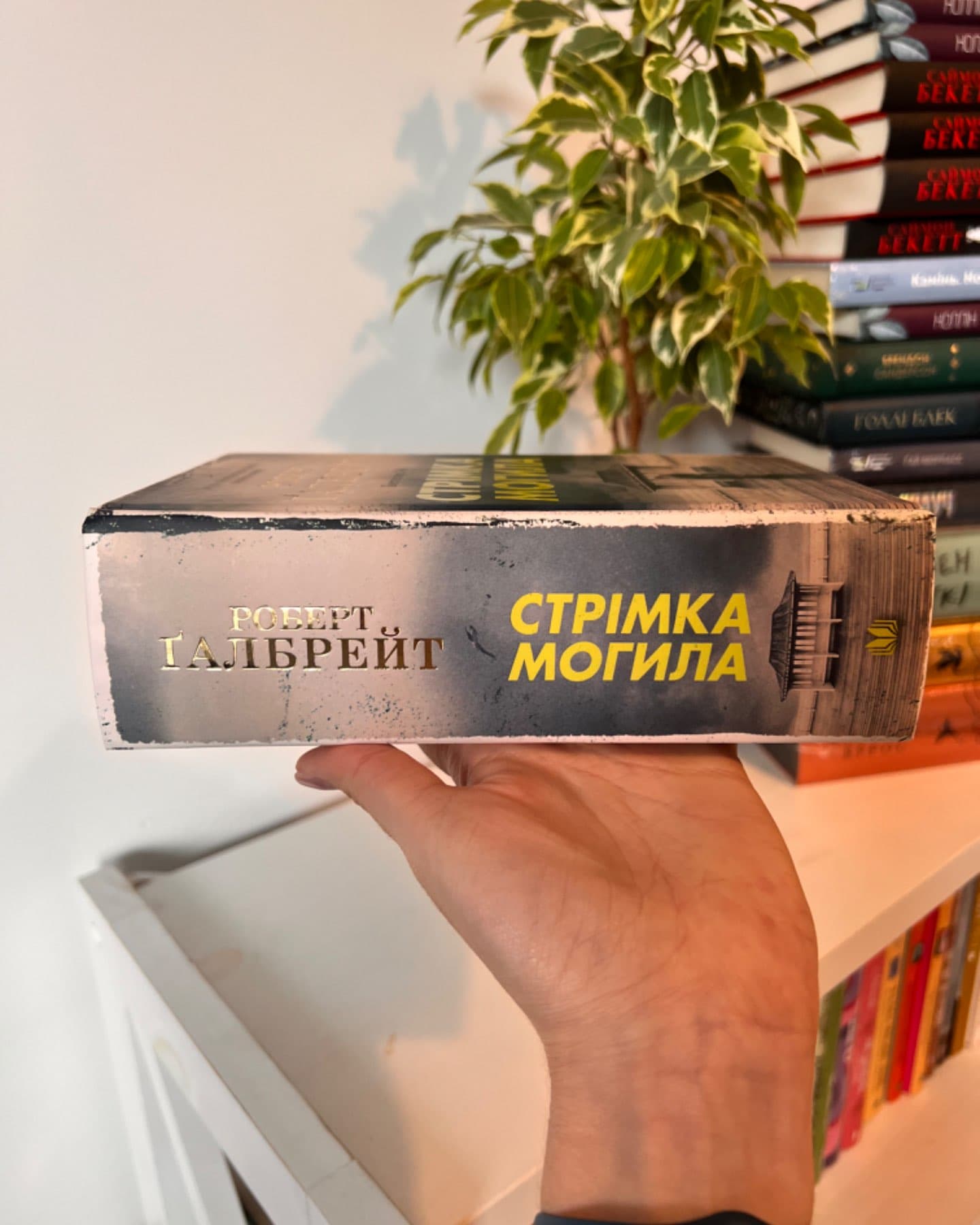 Стрімка могила-Роберт Ґалбрейт