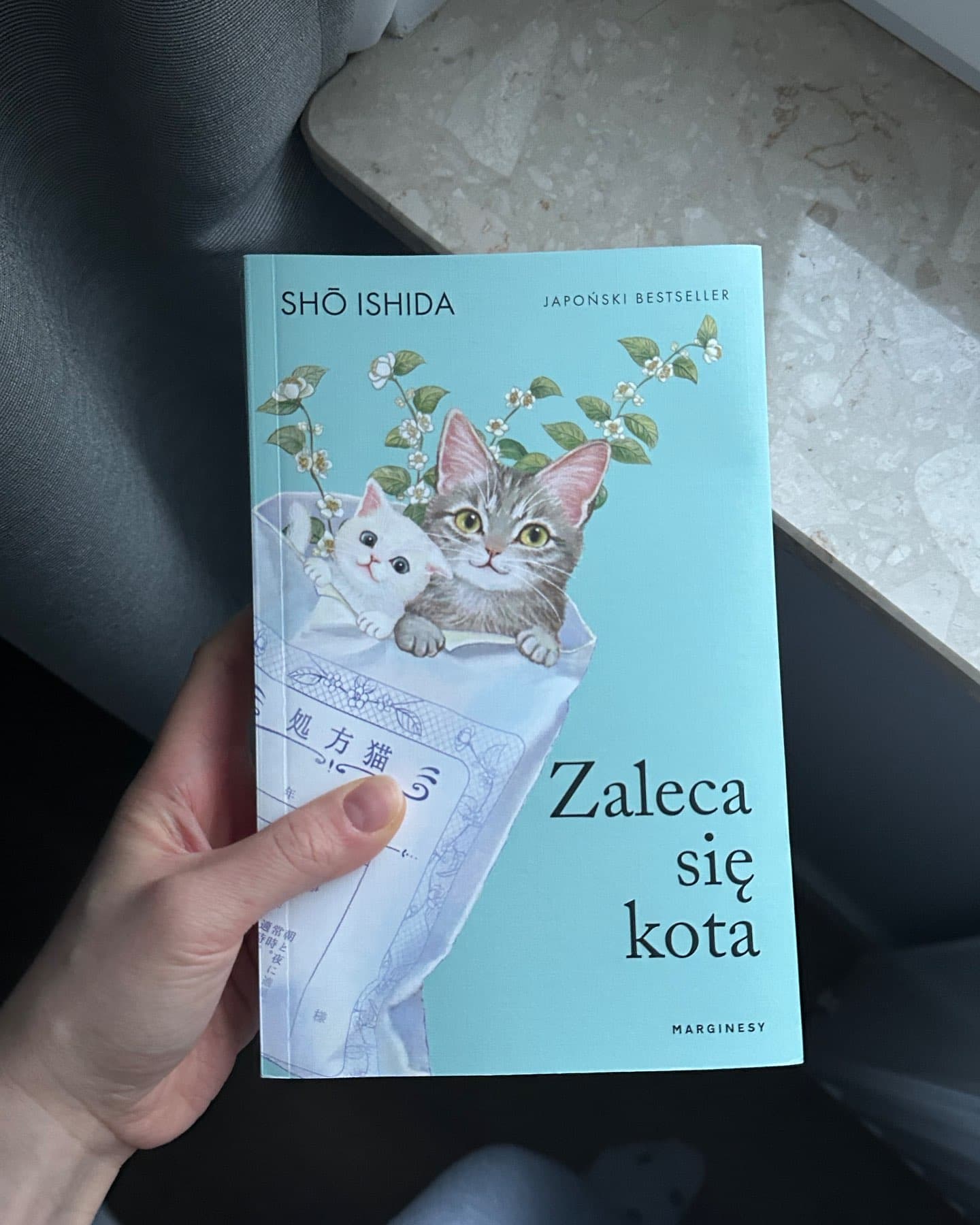 Zaleca się kota-Sho Ishida