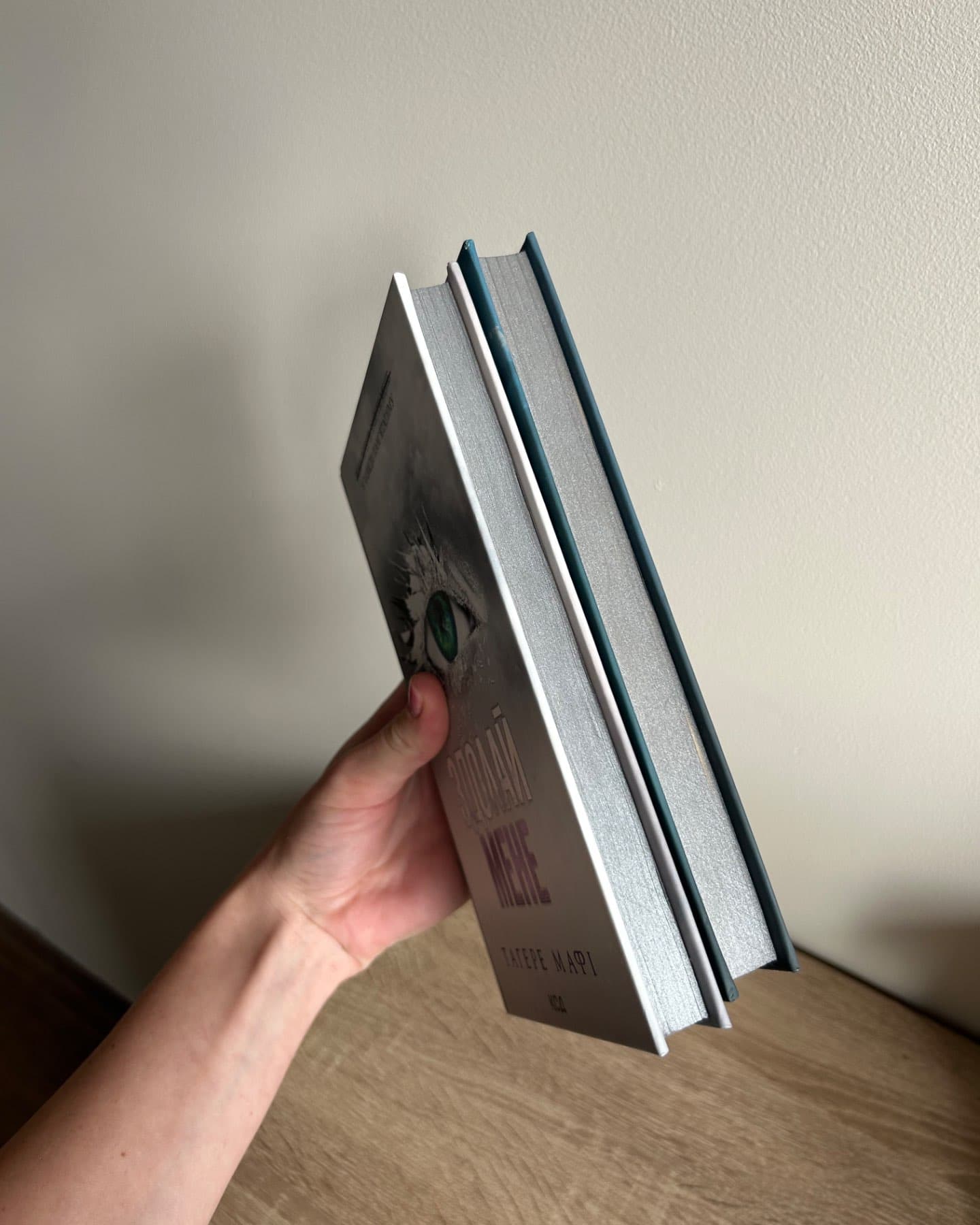 Здолай мене. Книга 5, Уяви мене. Книга 6-Тагере Мафі