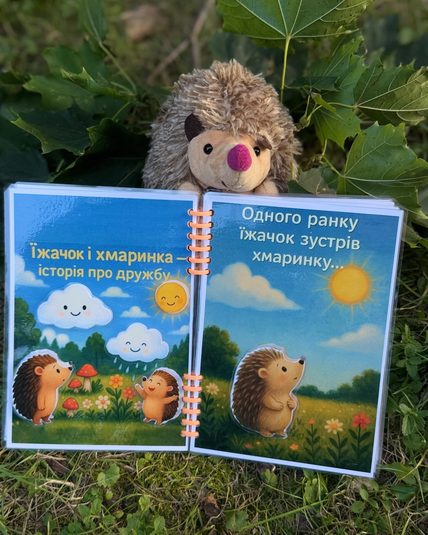 Добрий світ їжачка-Домкович Ірина
