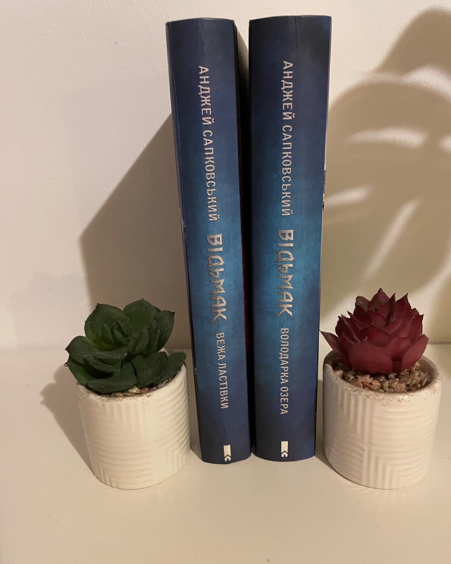 Відьмак. Вежа Ластівки. Книга 6, Відьмак. Володарка Озера. Книга 7-Анджей Сапковський