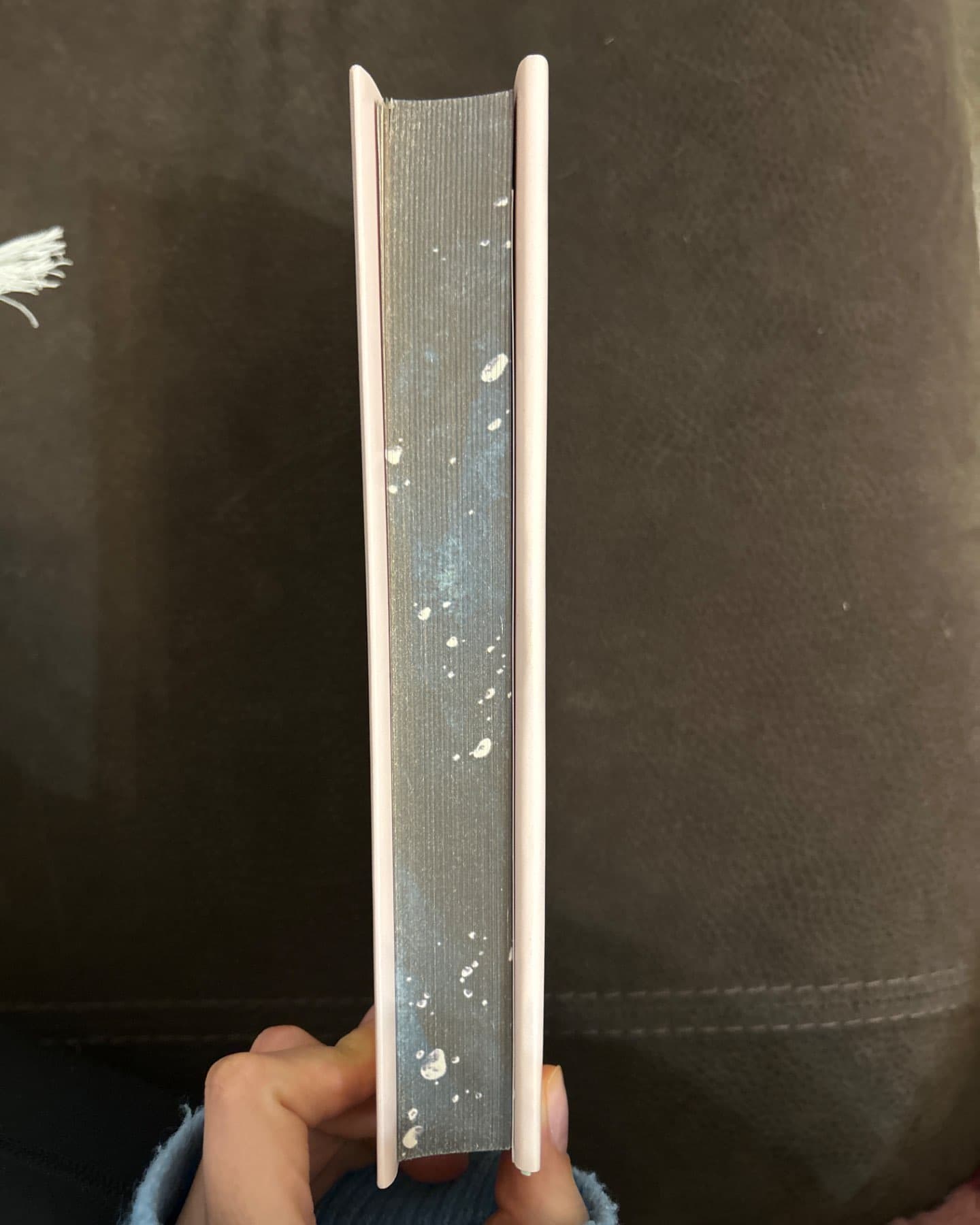 Веріті-Коллін Гувер