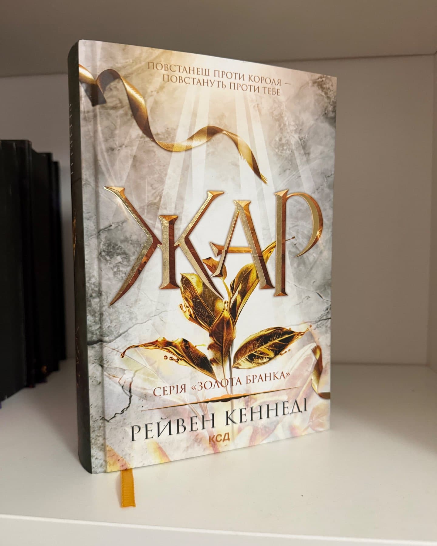 Серія книг Золота бранка-Рейвен Кеннеді