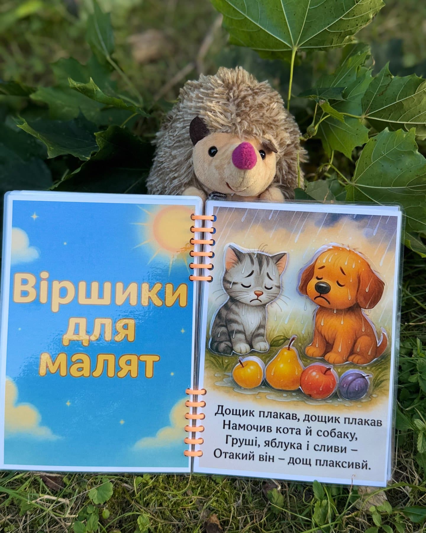 Добрий світ їжачка-Домкович Ірина