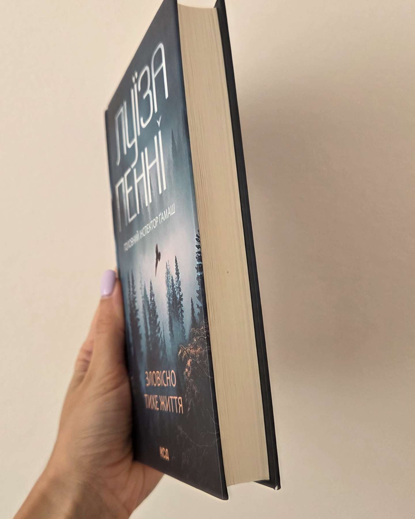 Зловісно тихе життя. Книга 1-Луїз Пенні