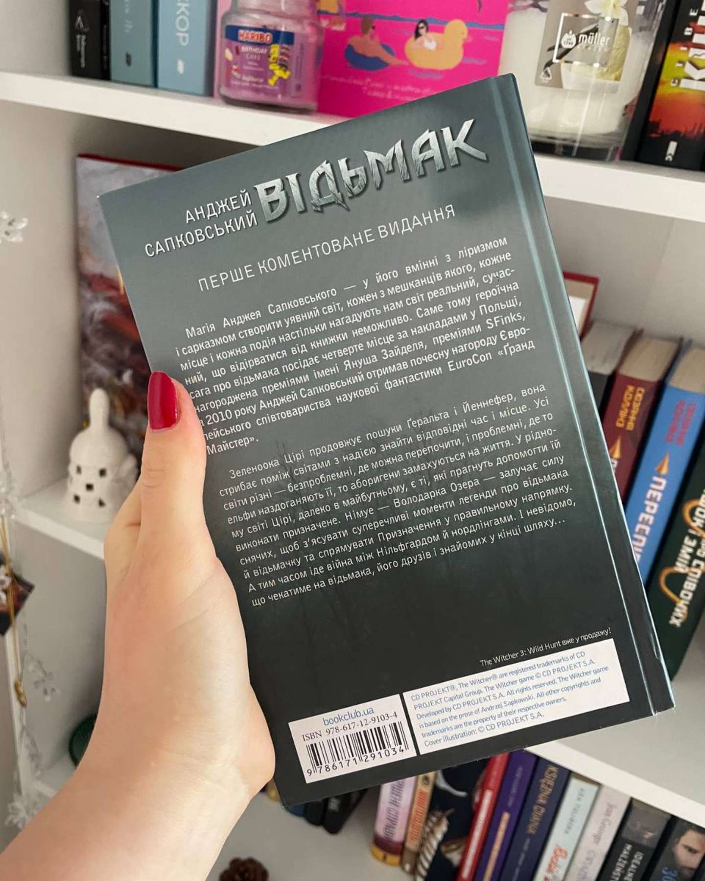 Відьмак. Володарка Озера. Книга 7-Анджей Сапковський