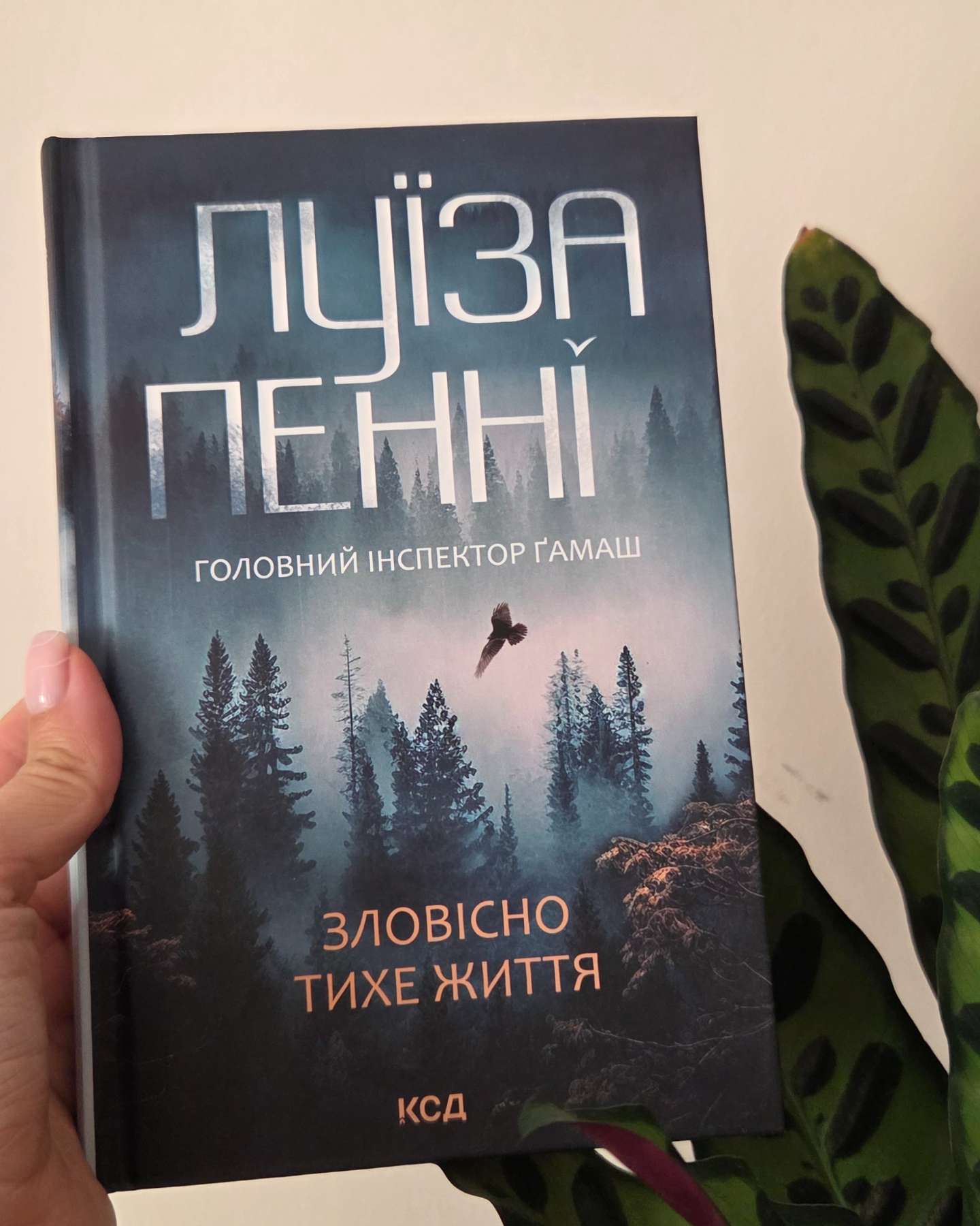 Зловісно тихе життя. Книга 1-Луїз Пенні