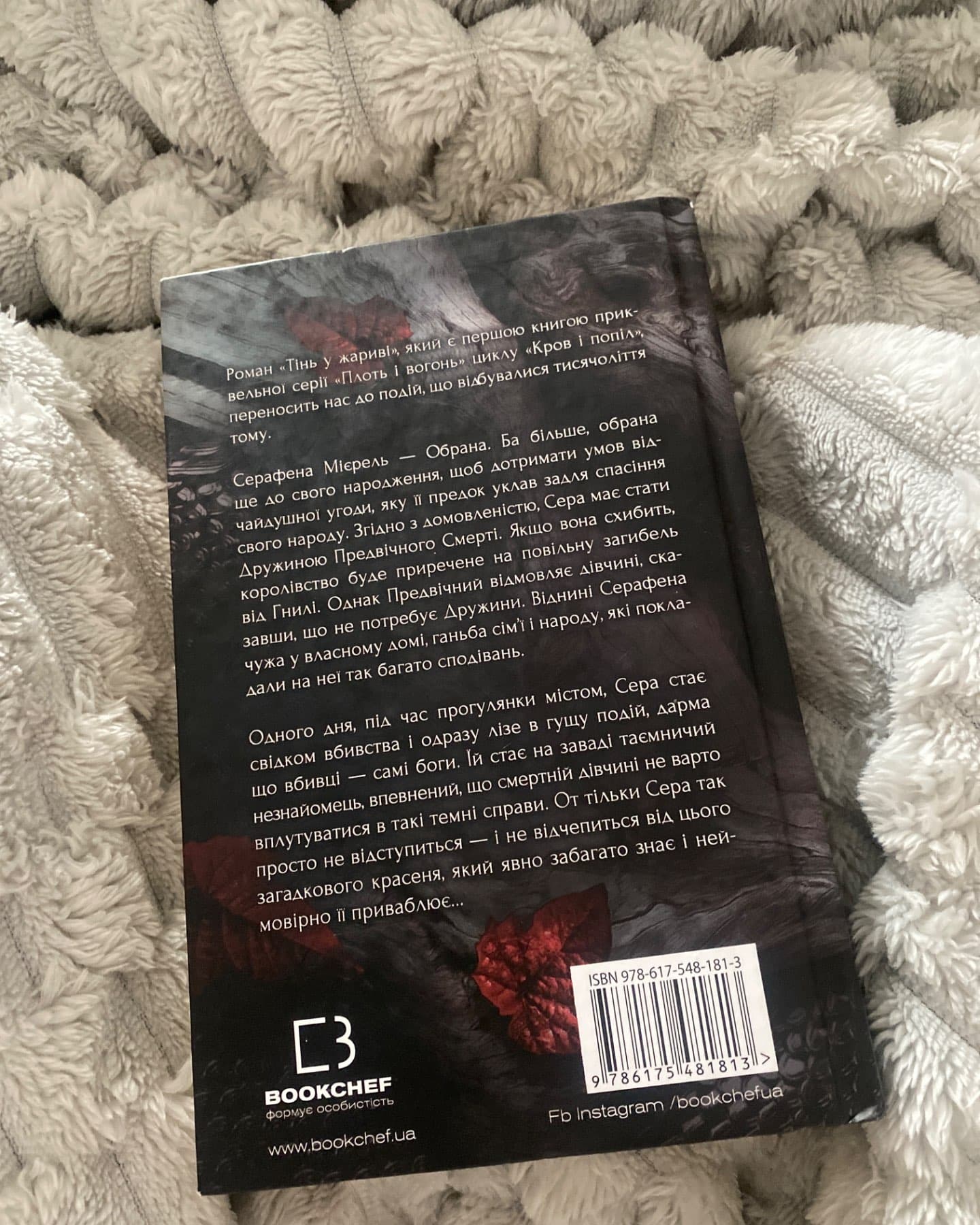 Тінь у жариві. Плоть і вогонь. Книга 1-Дженніфер Л. Арментраут
