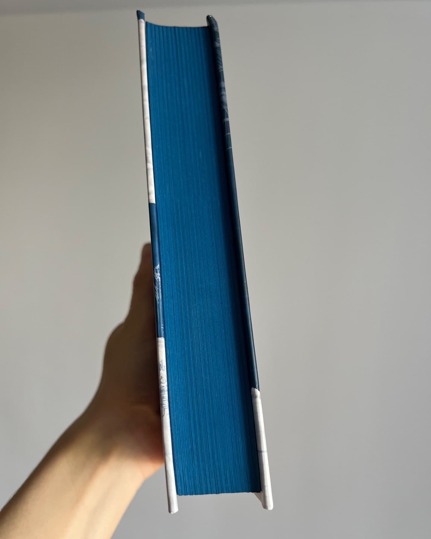 Дрібним шрифтом-Лорен Ашер