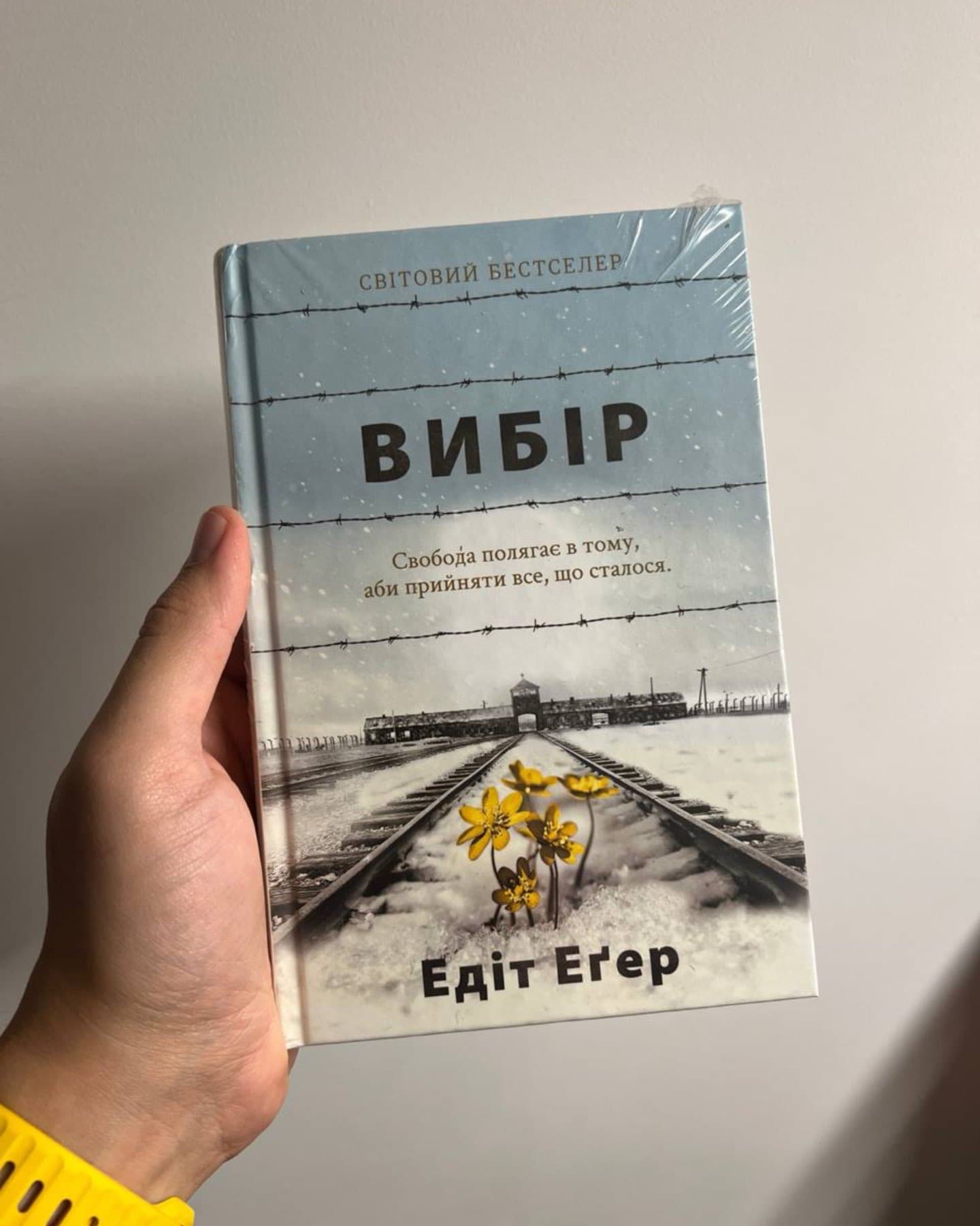 Вибір. Прийняти можливе-Едіт Єва Еґер